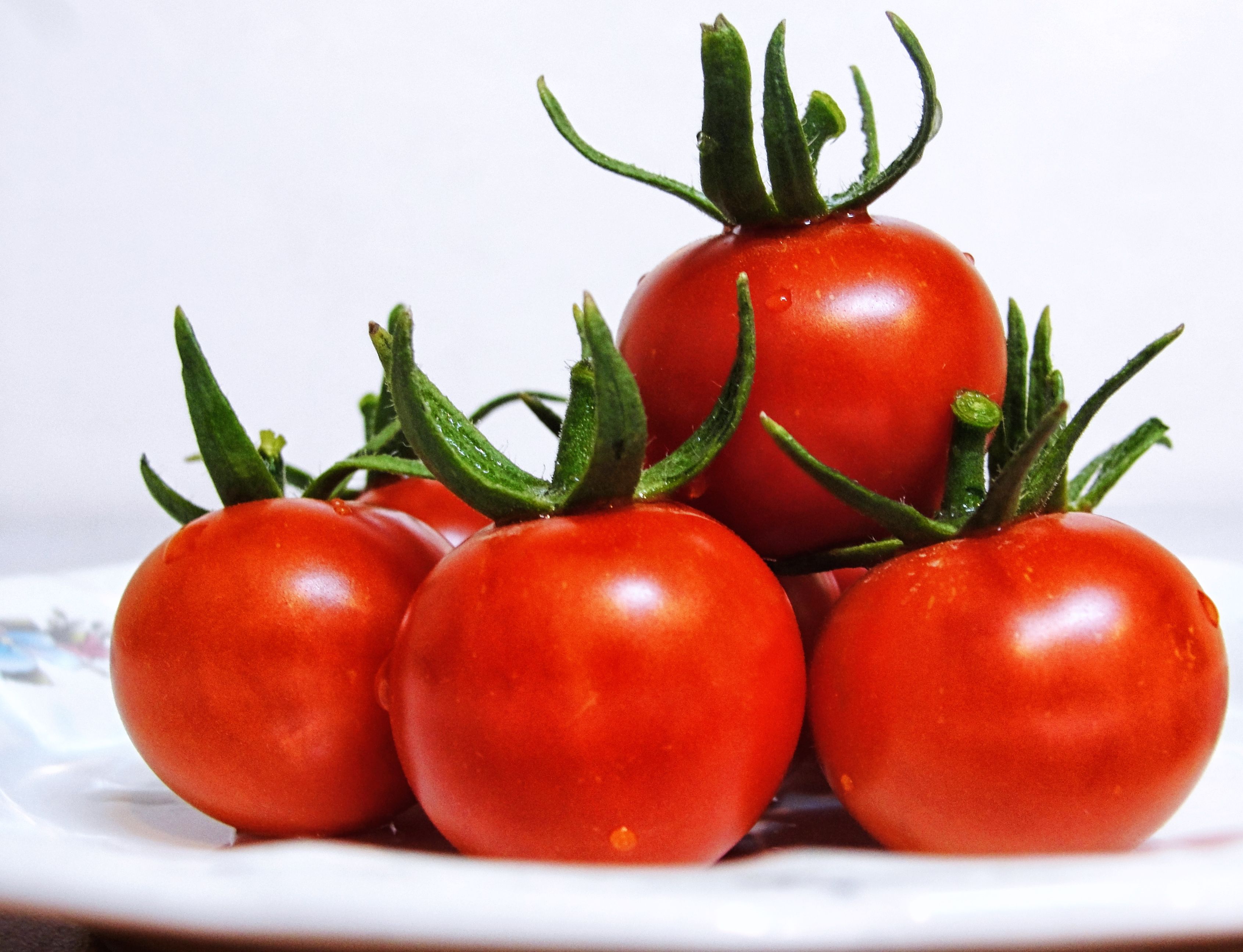 locally sourced ingredients