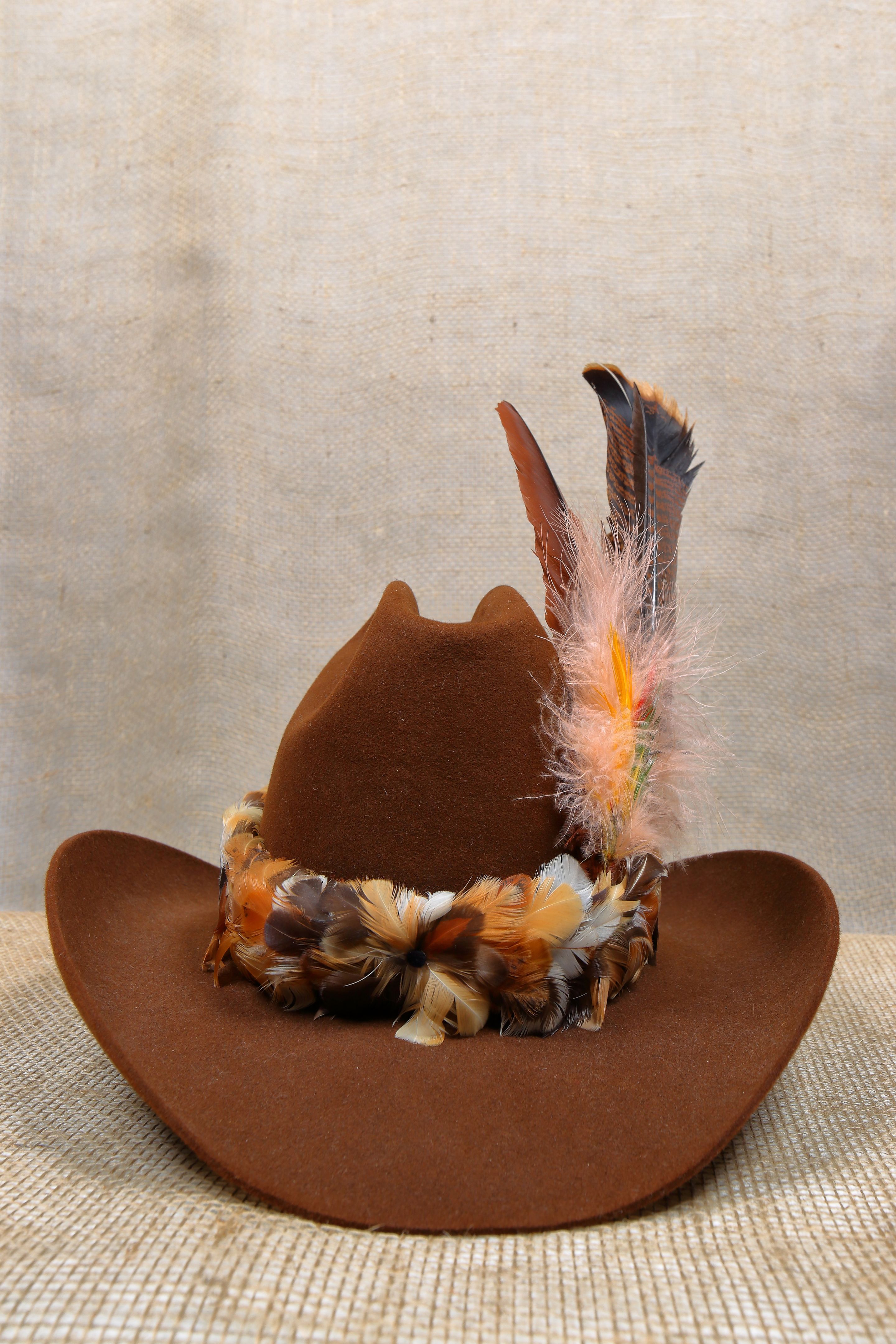 Cowboy hat with feathers
