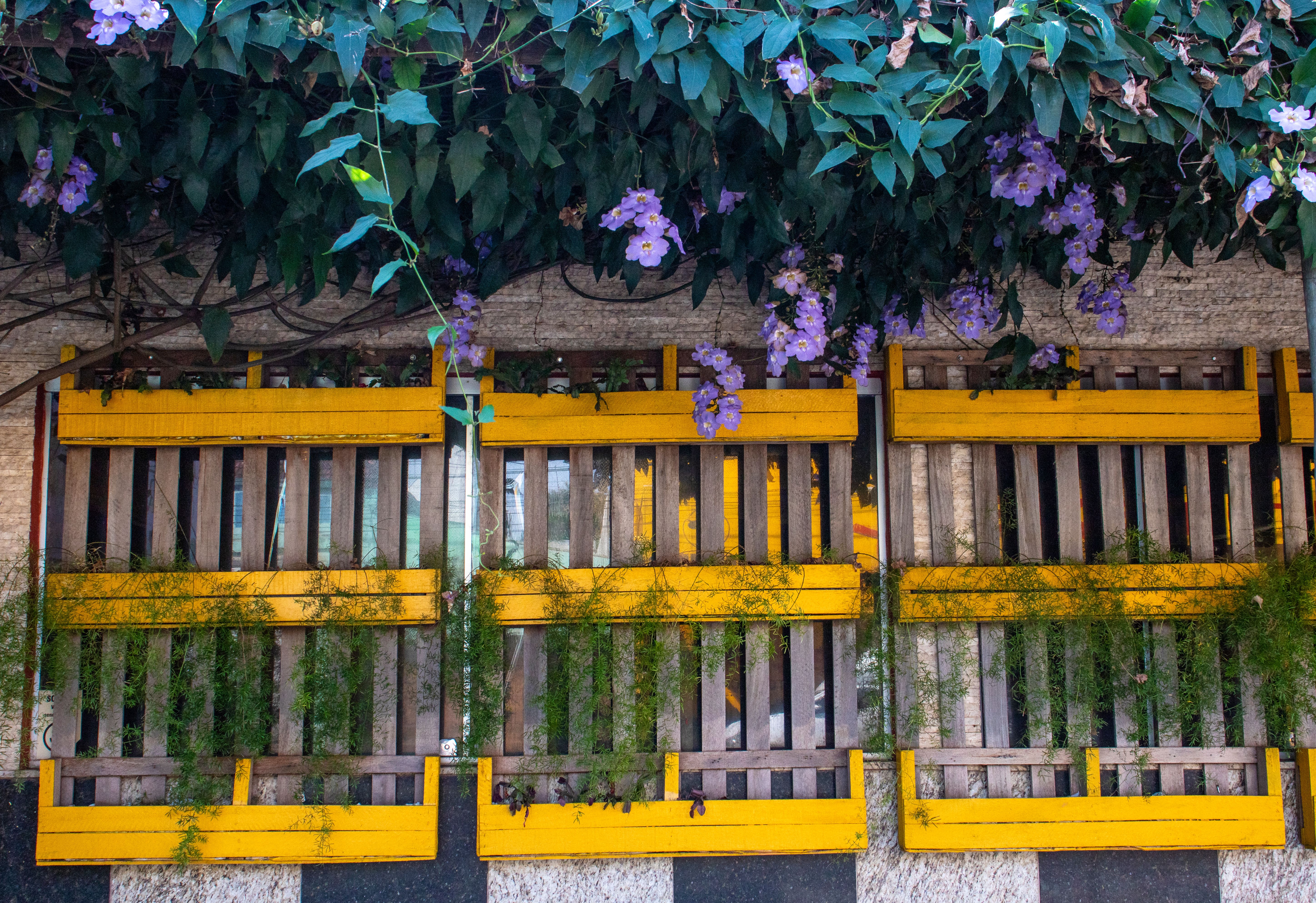 vertical garden pallets