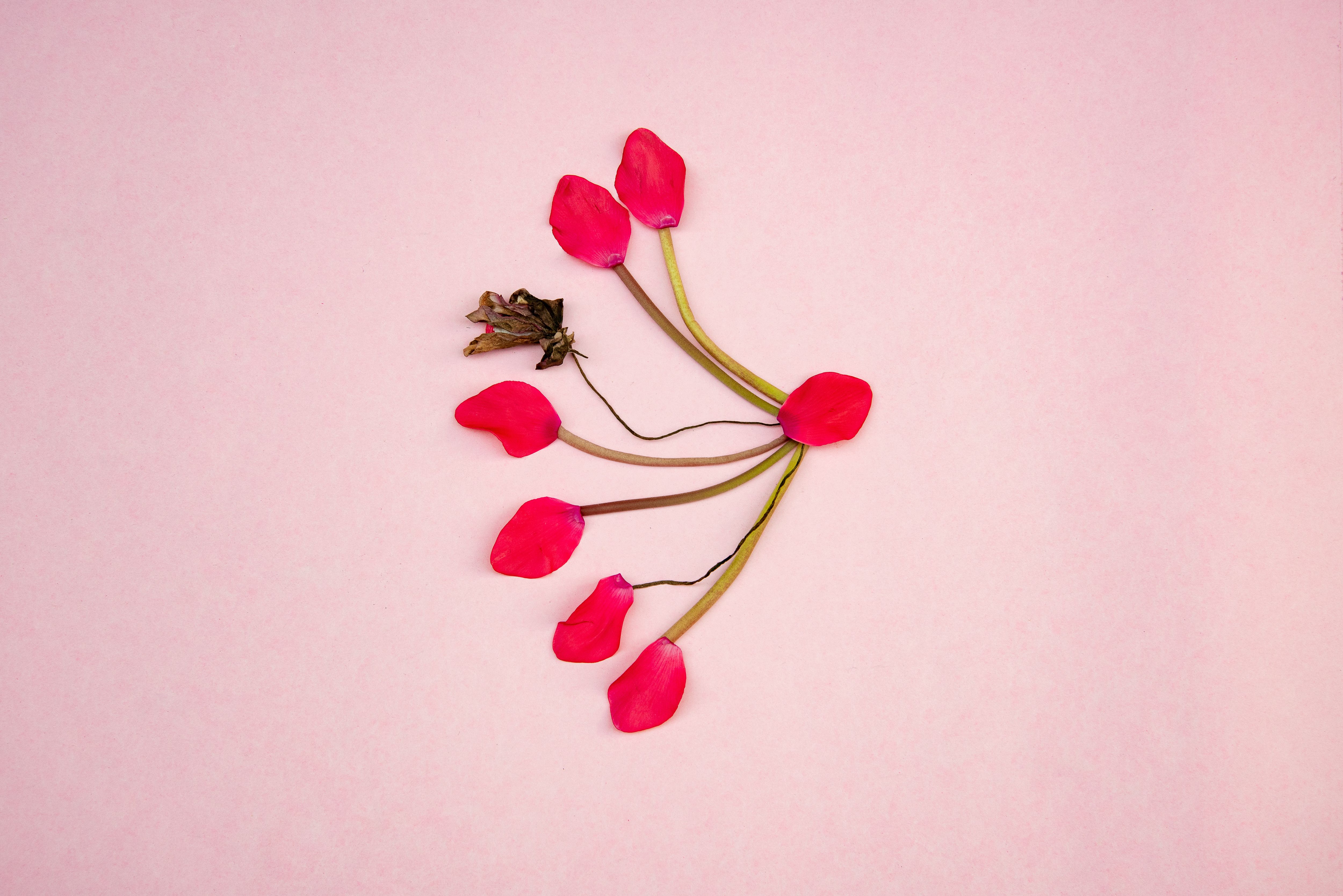 breast cancer screening