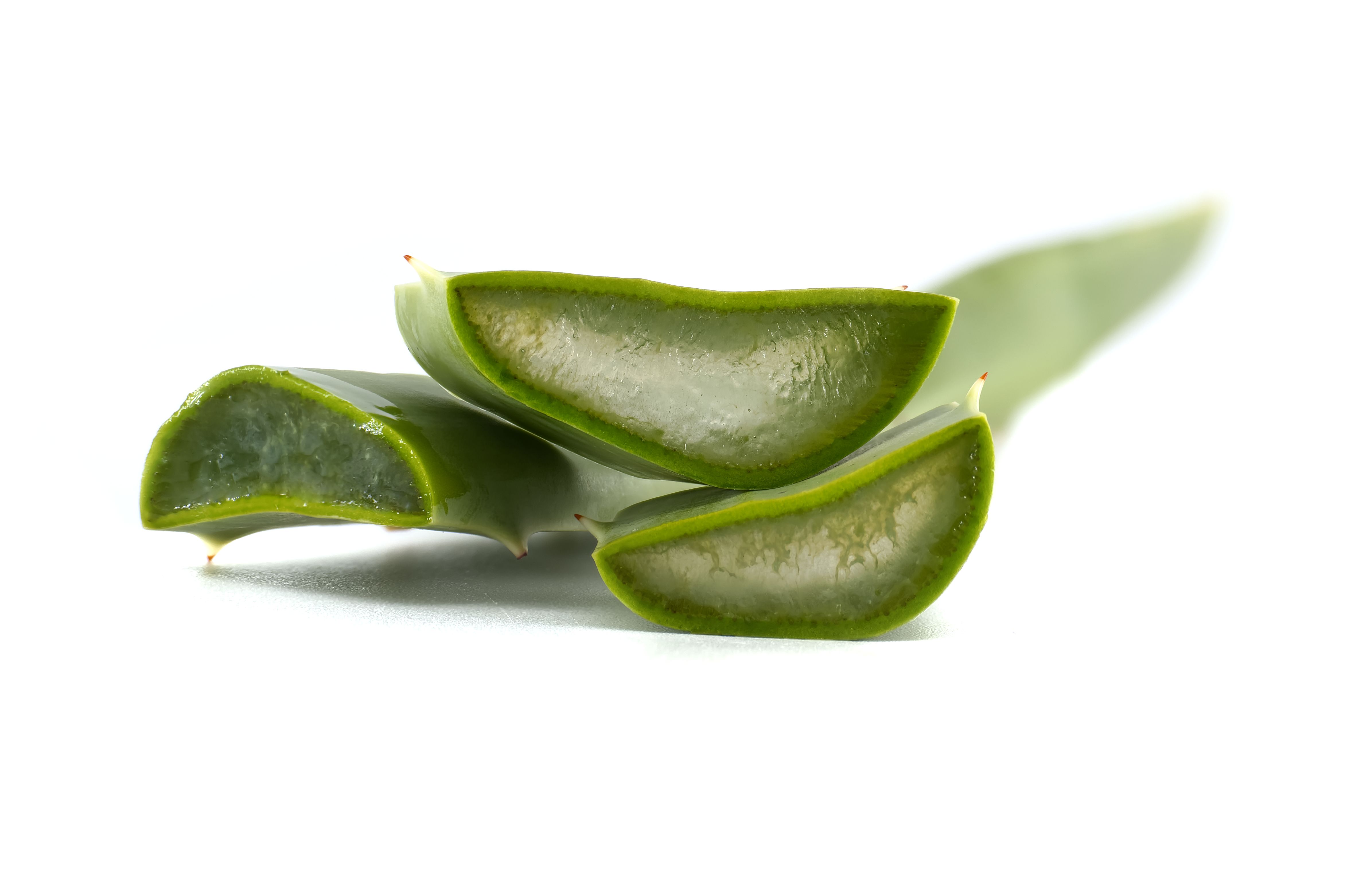 aloe vera gel