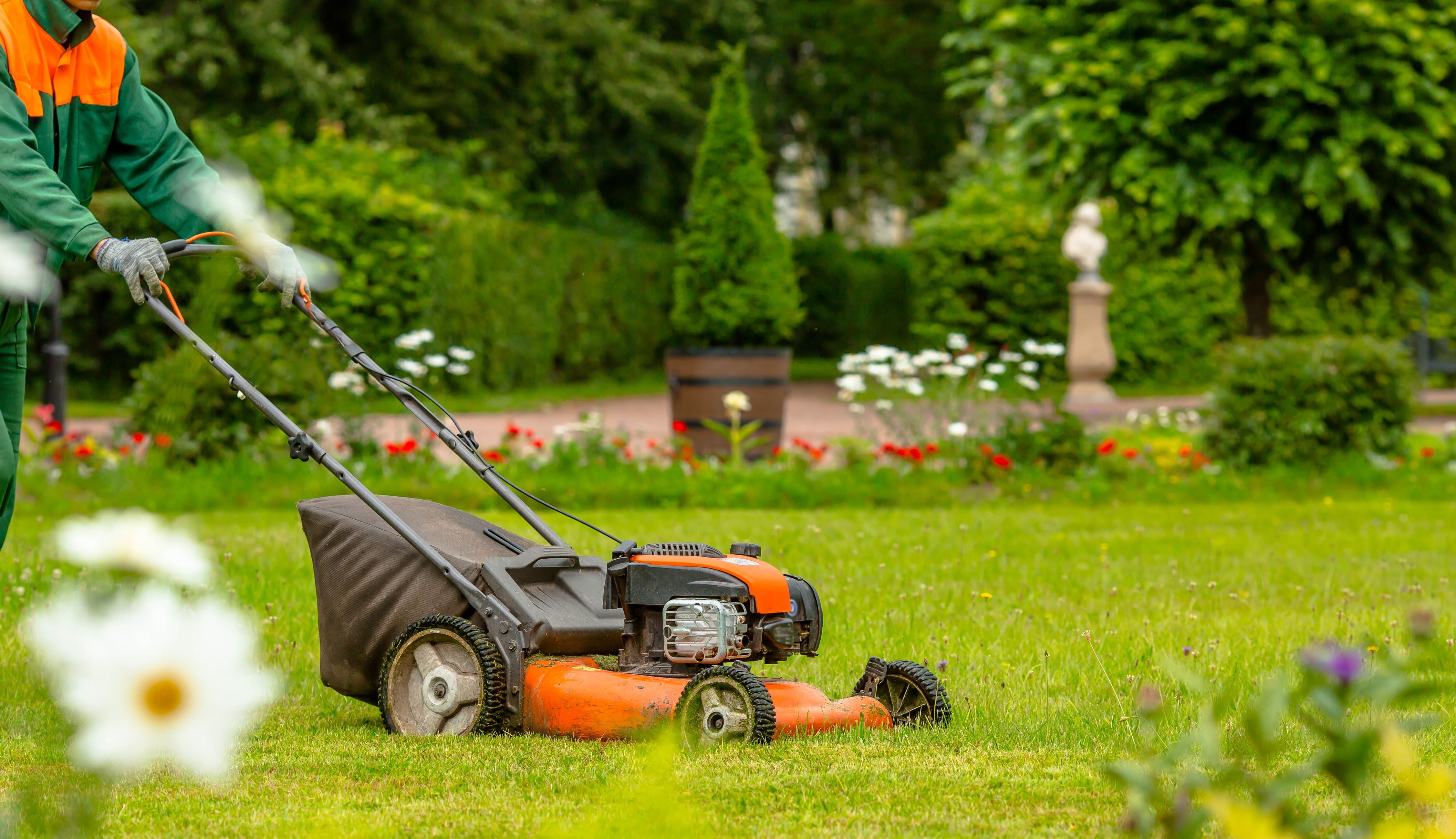 garden maintenance