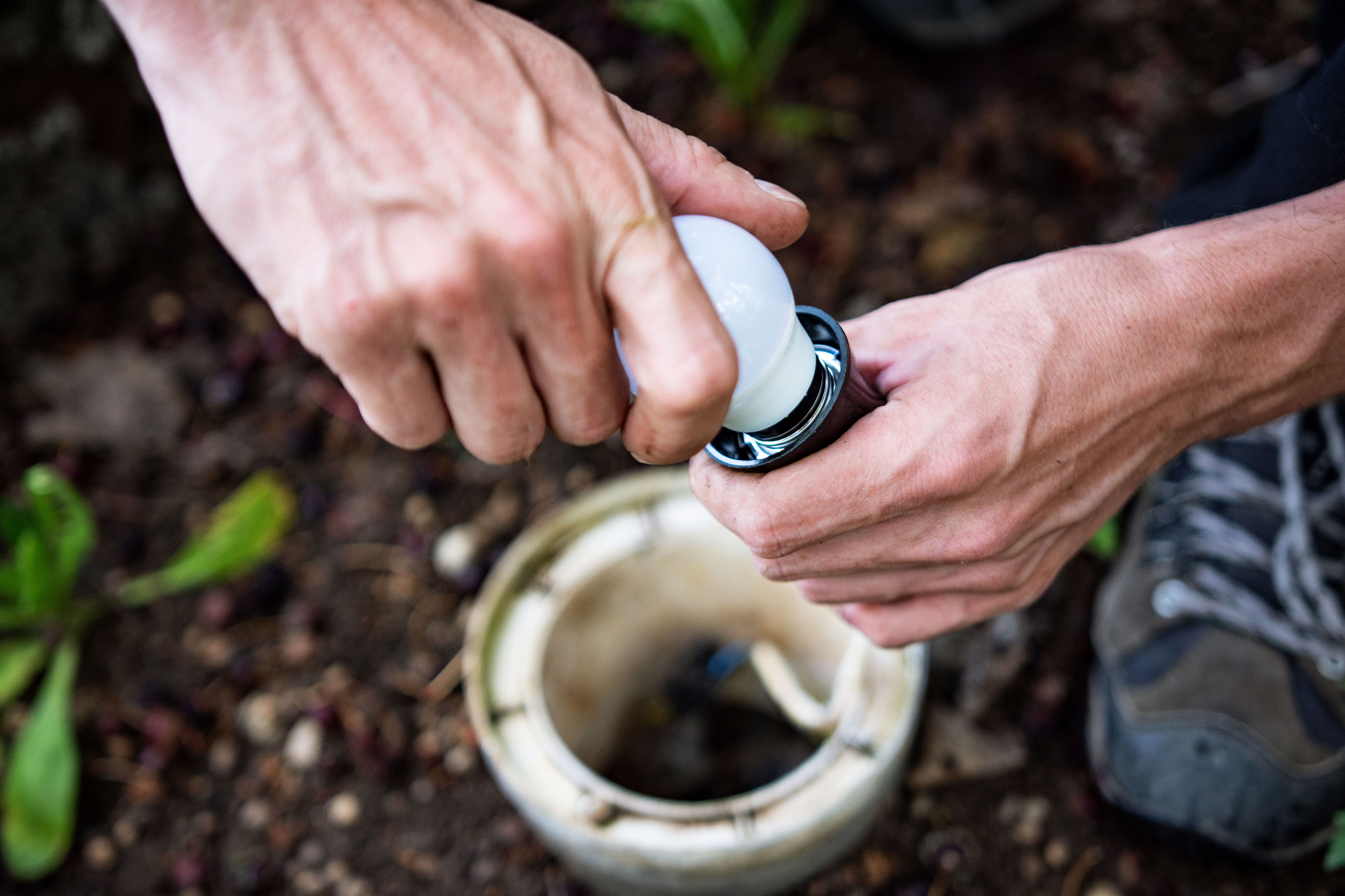outdoor lighting maintenance