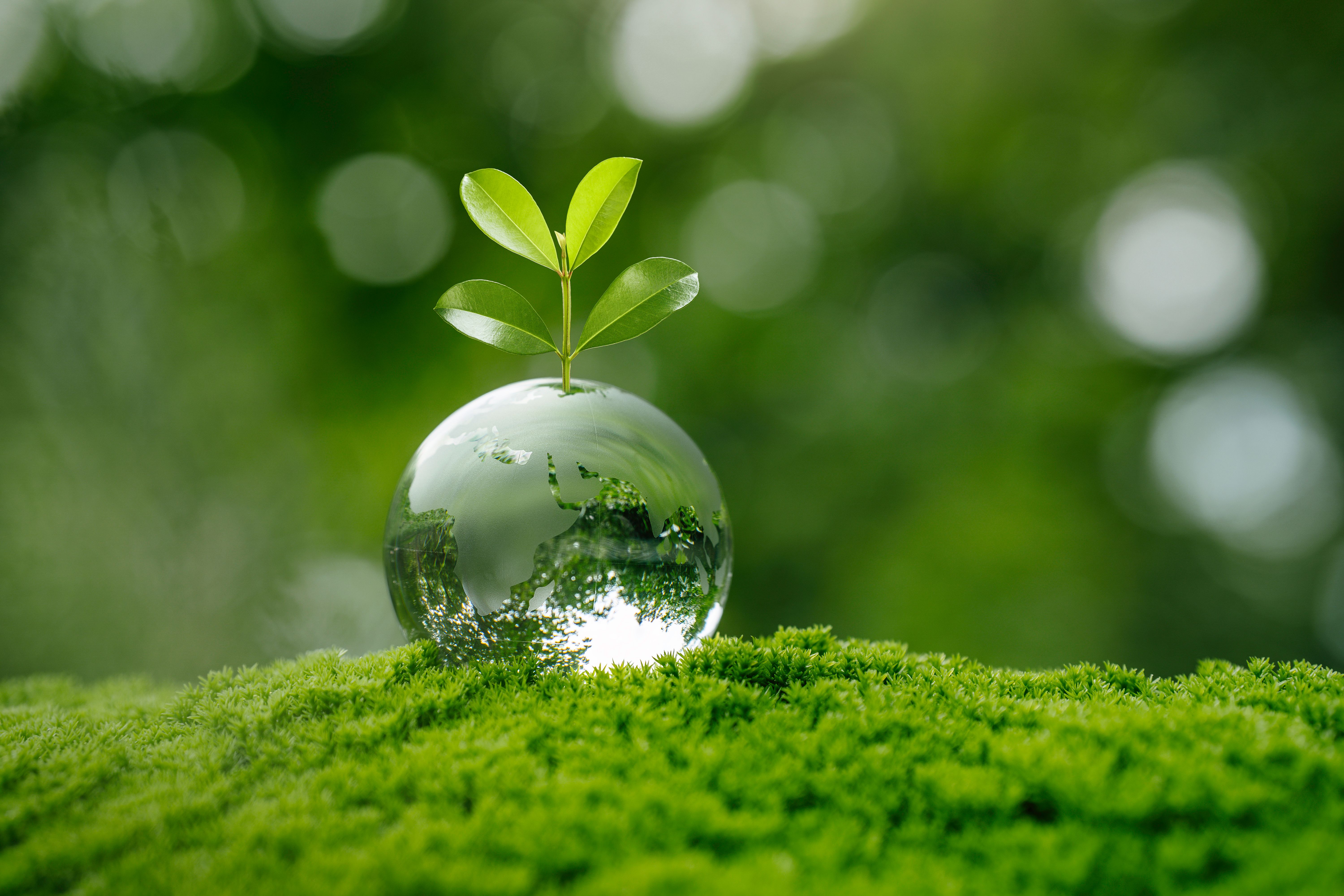 event sustainability
