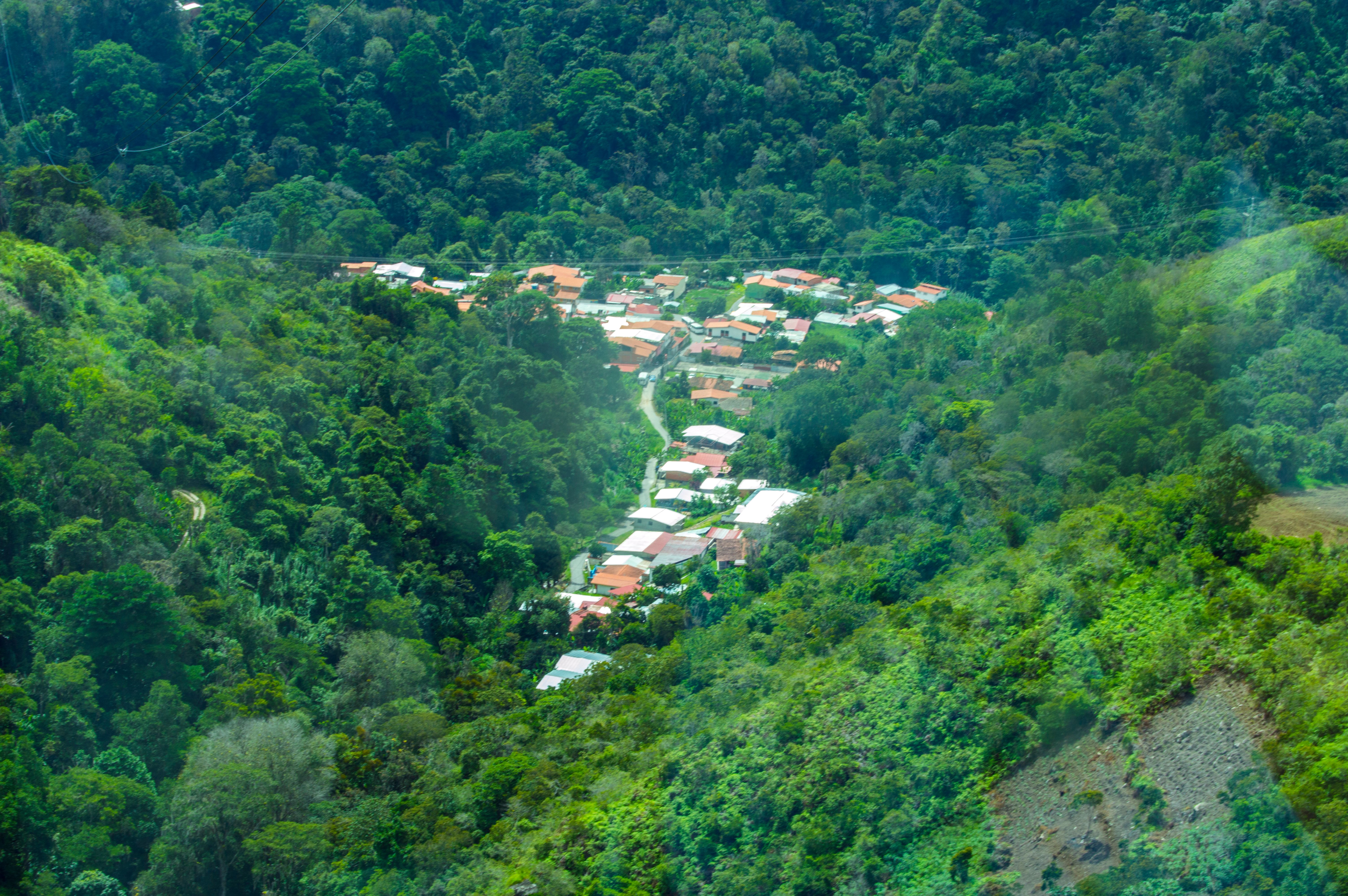 rio arriba community