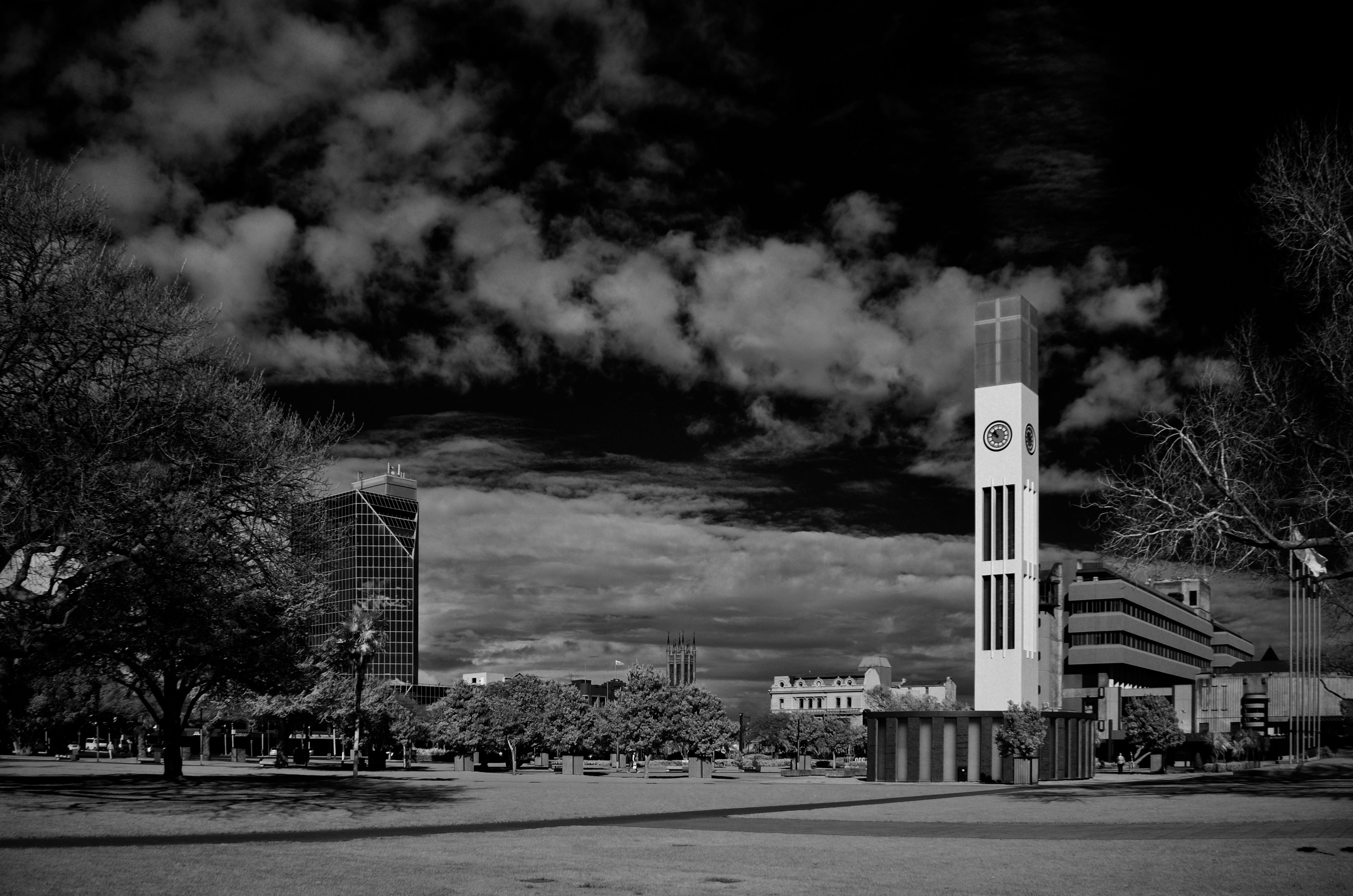 palmerston north city