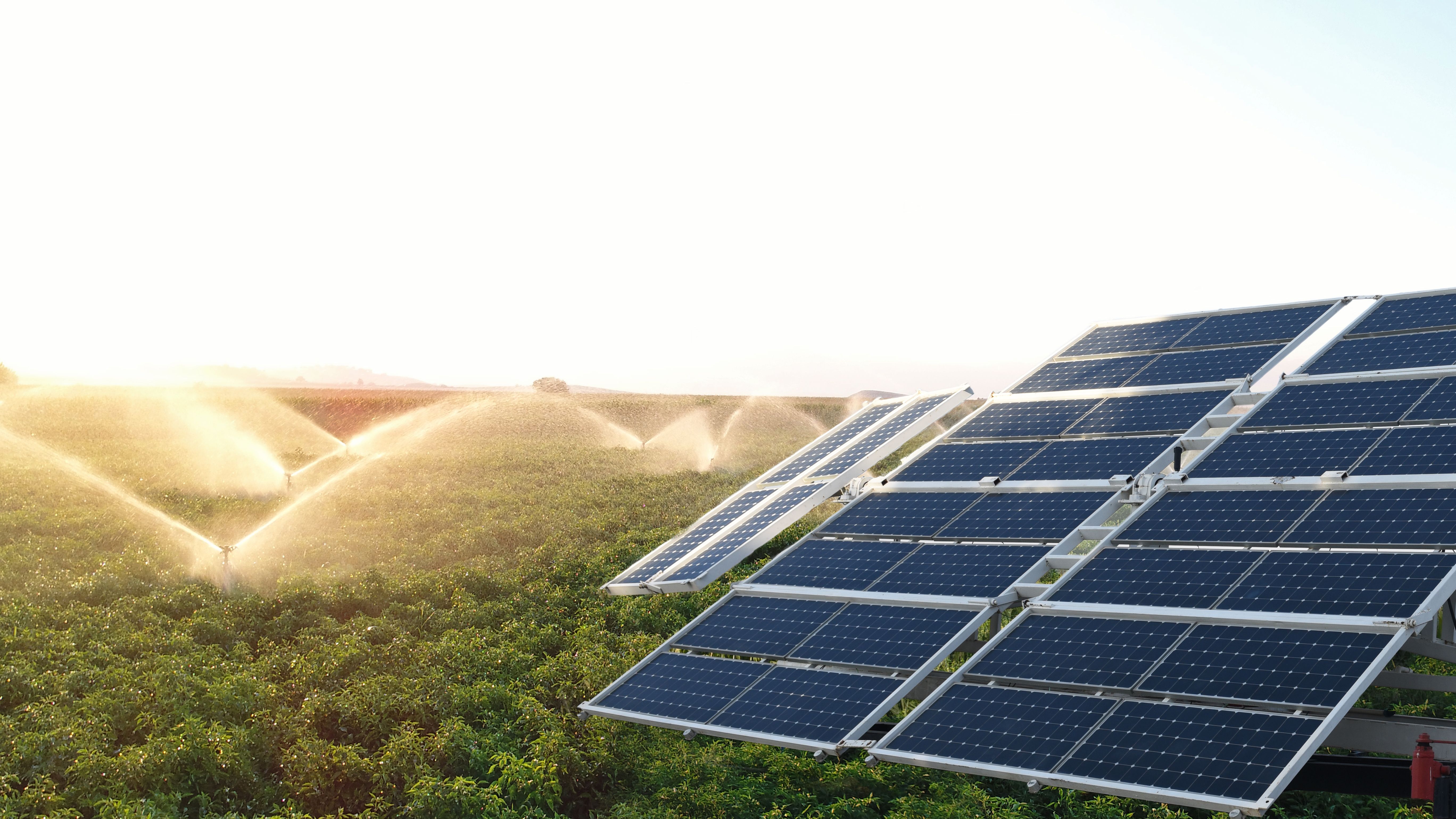 irrigation system