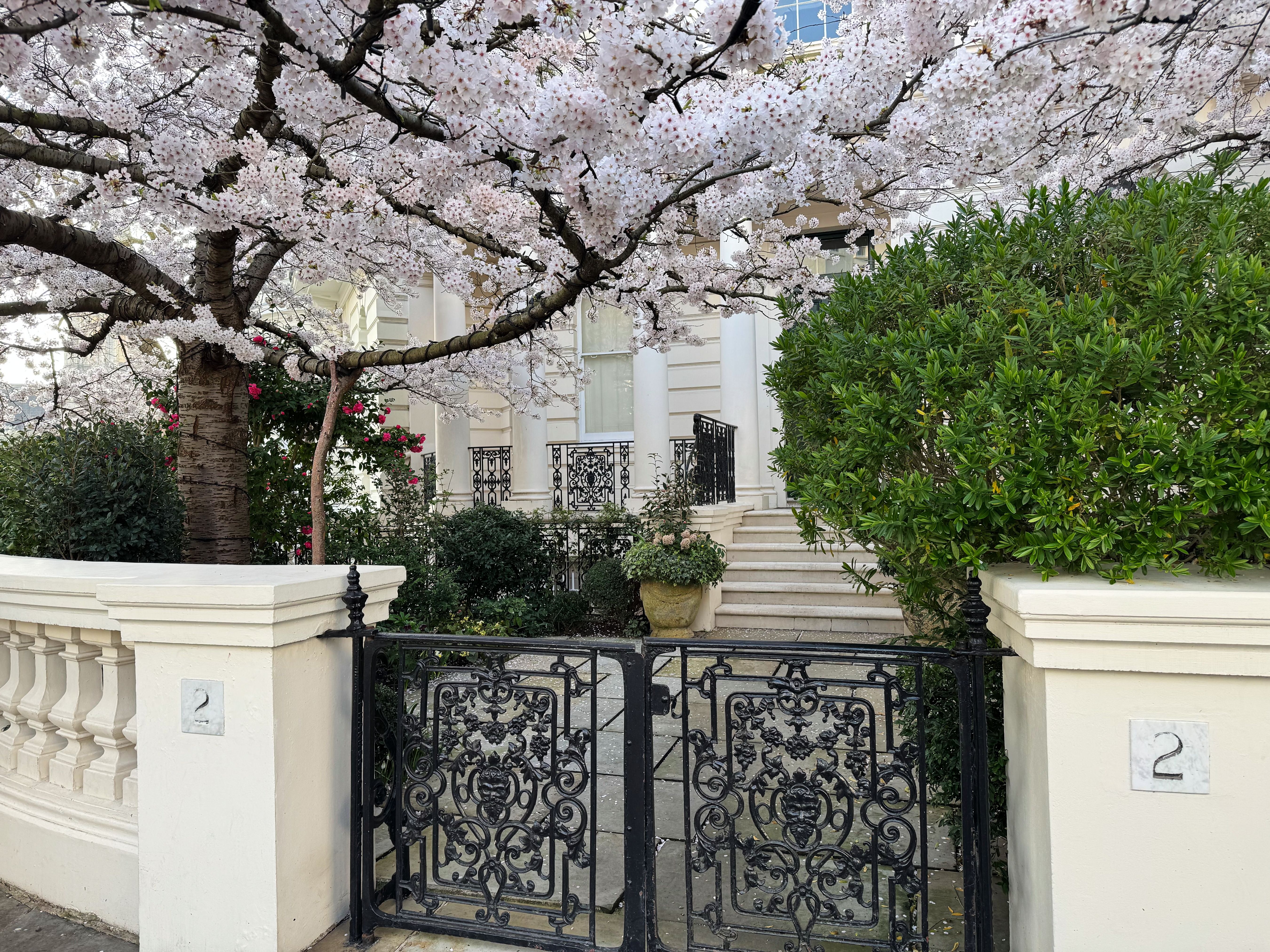 London spring flowers