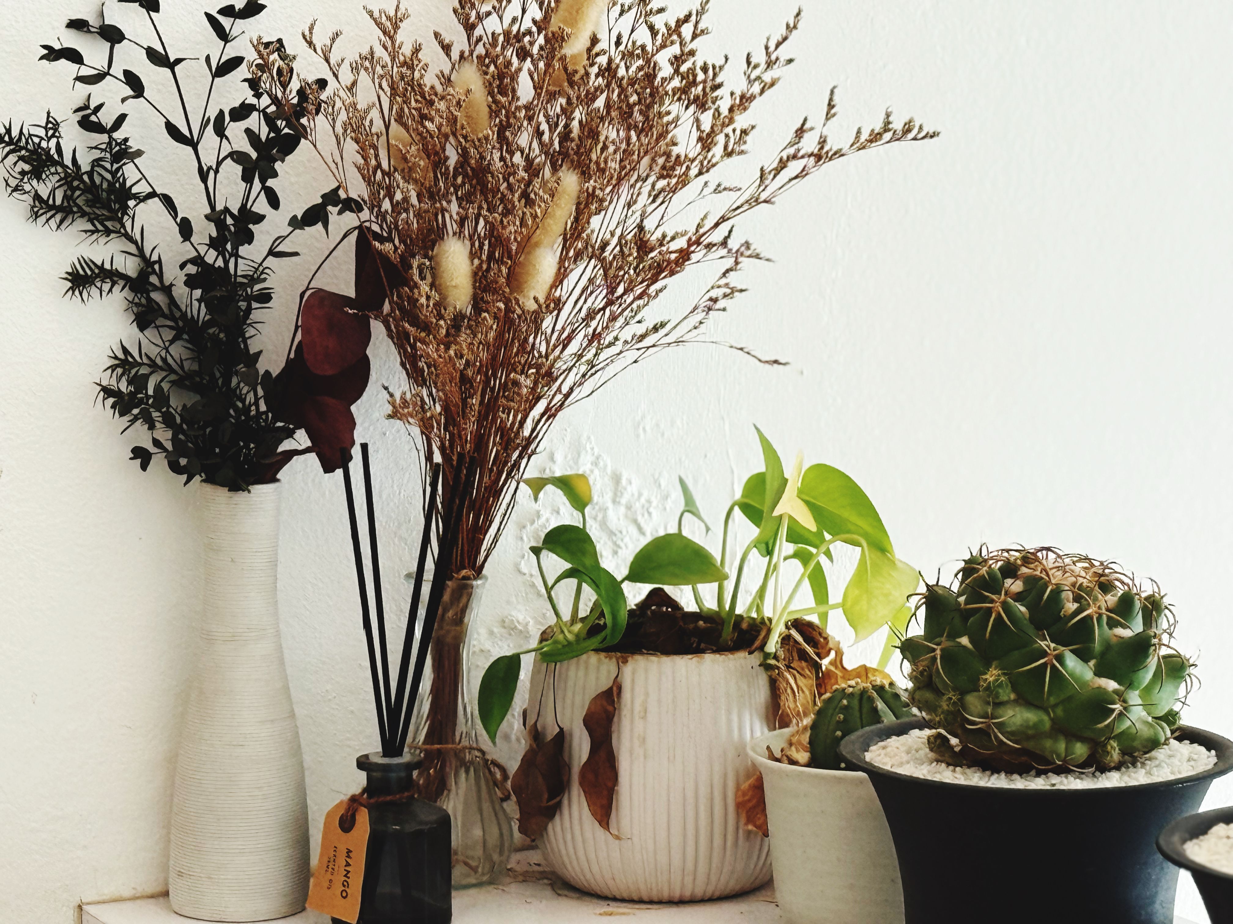 natural home elements