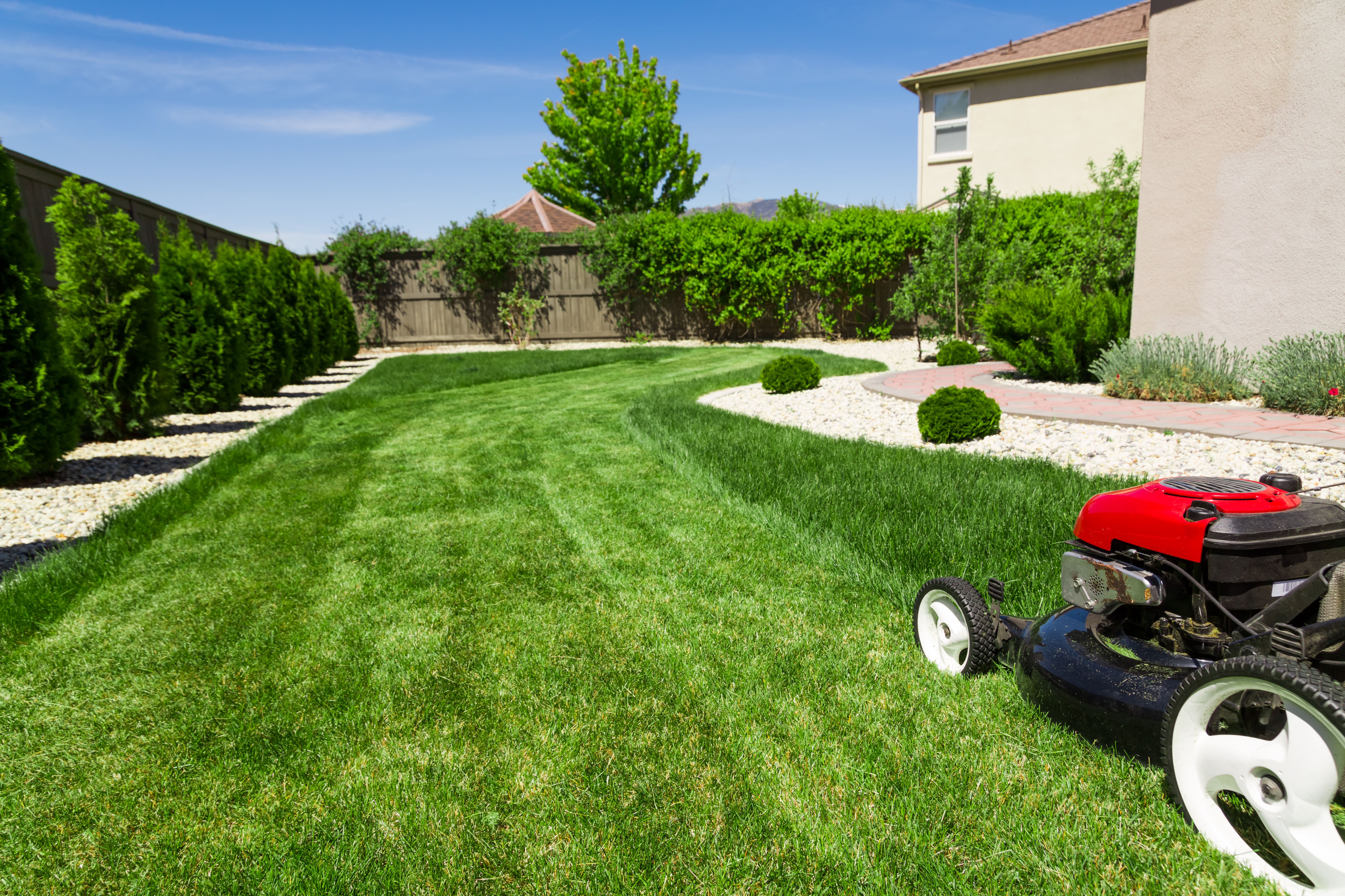 lawn care services