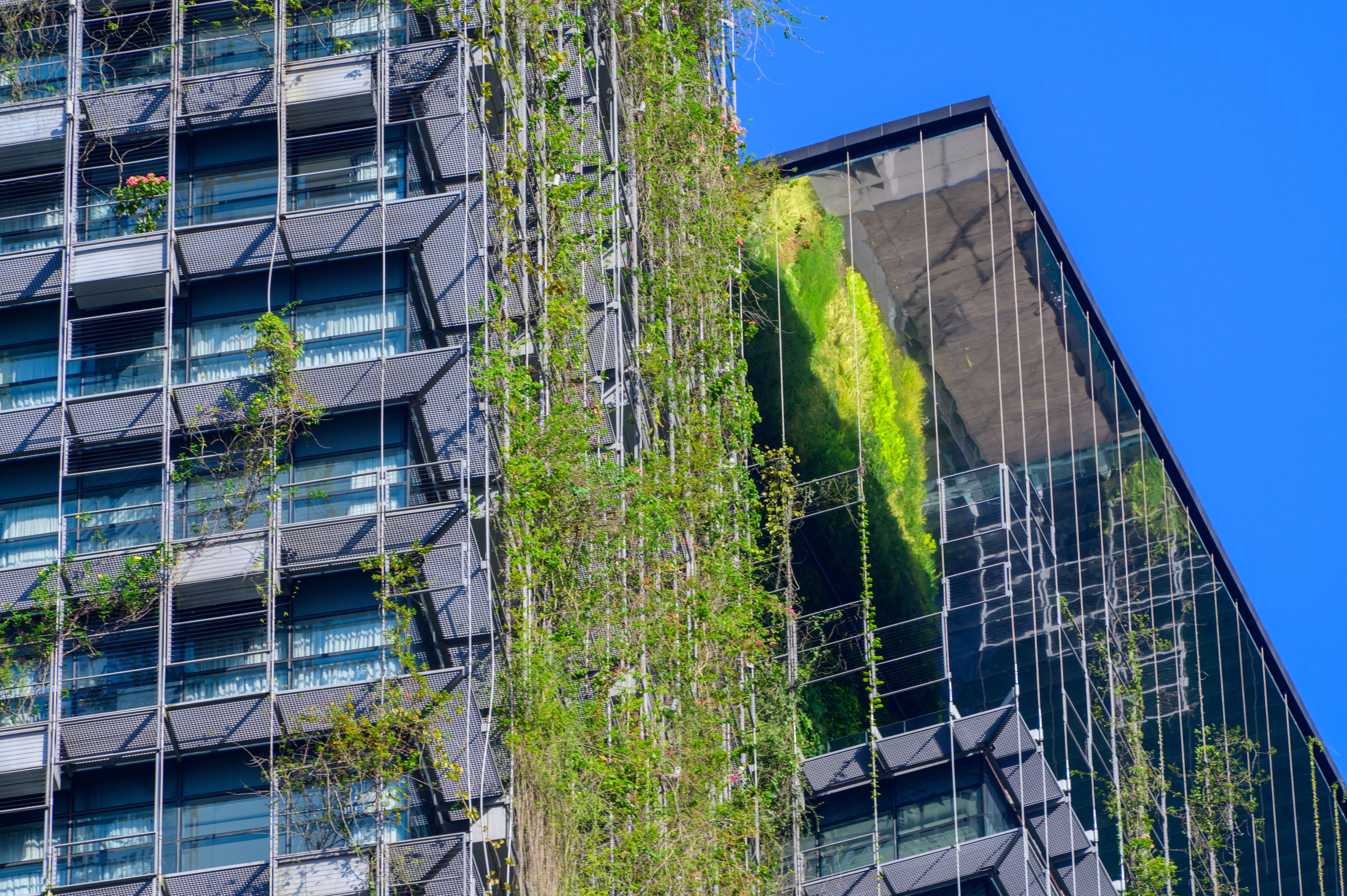 Green Eco Building in the City with Blue sky background Green Eco Building in the City with Blue sky background