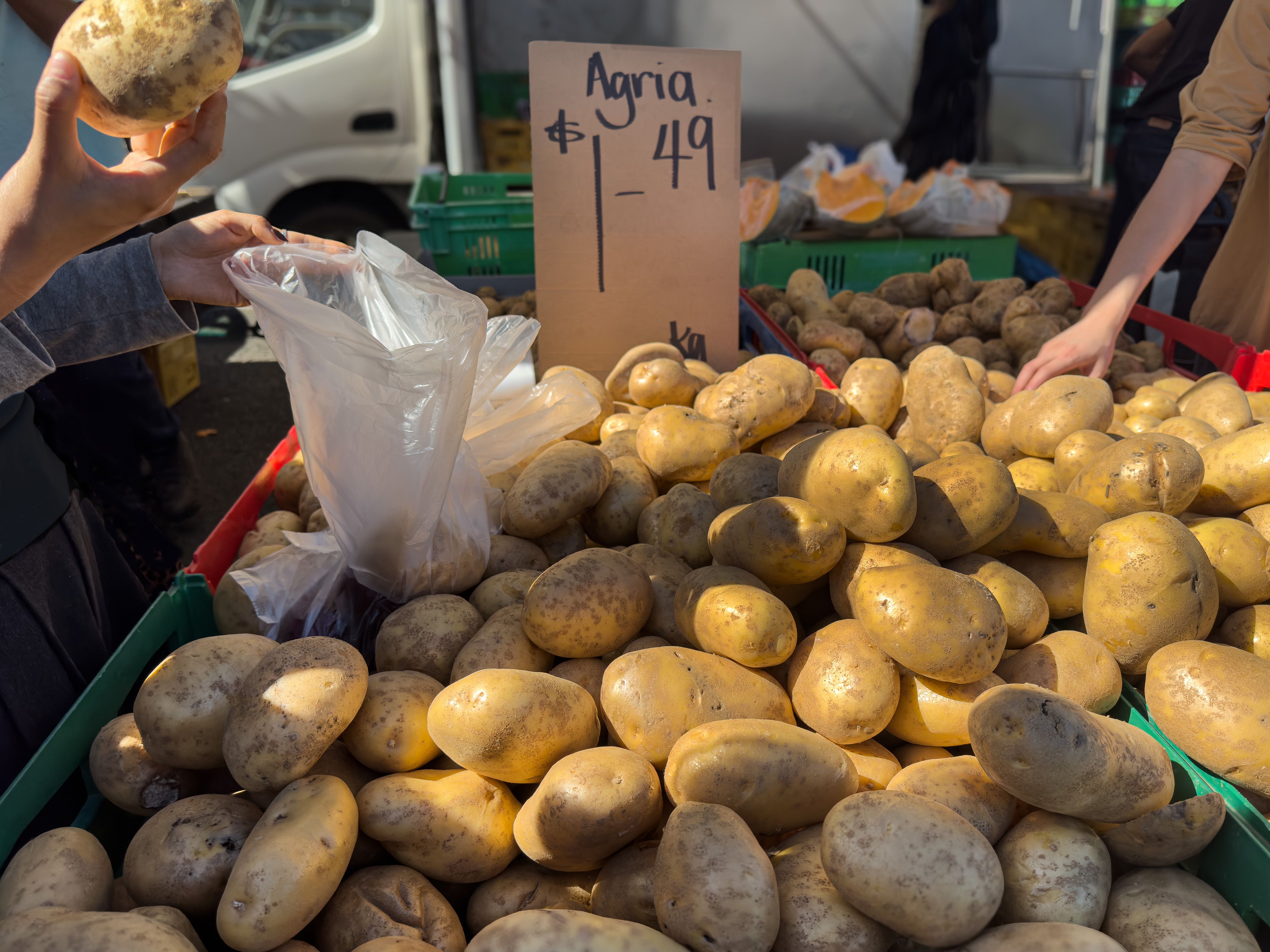 auckland food market