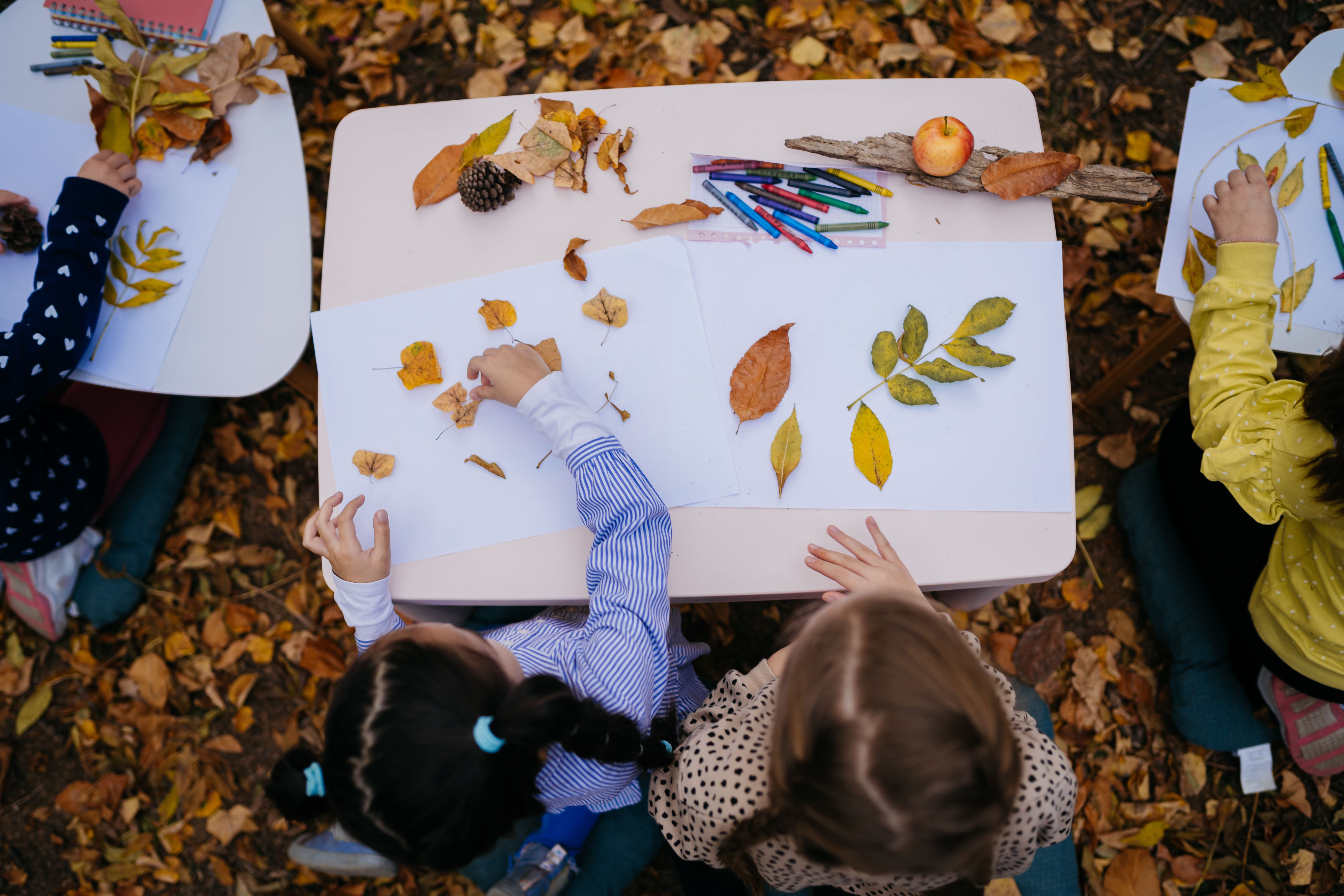 nature workshop children