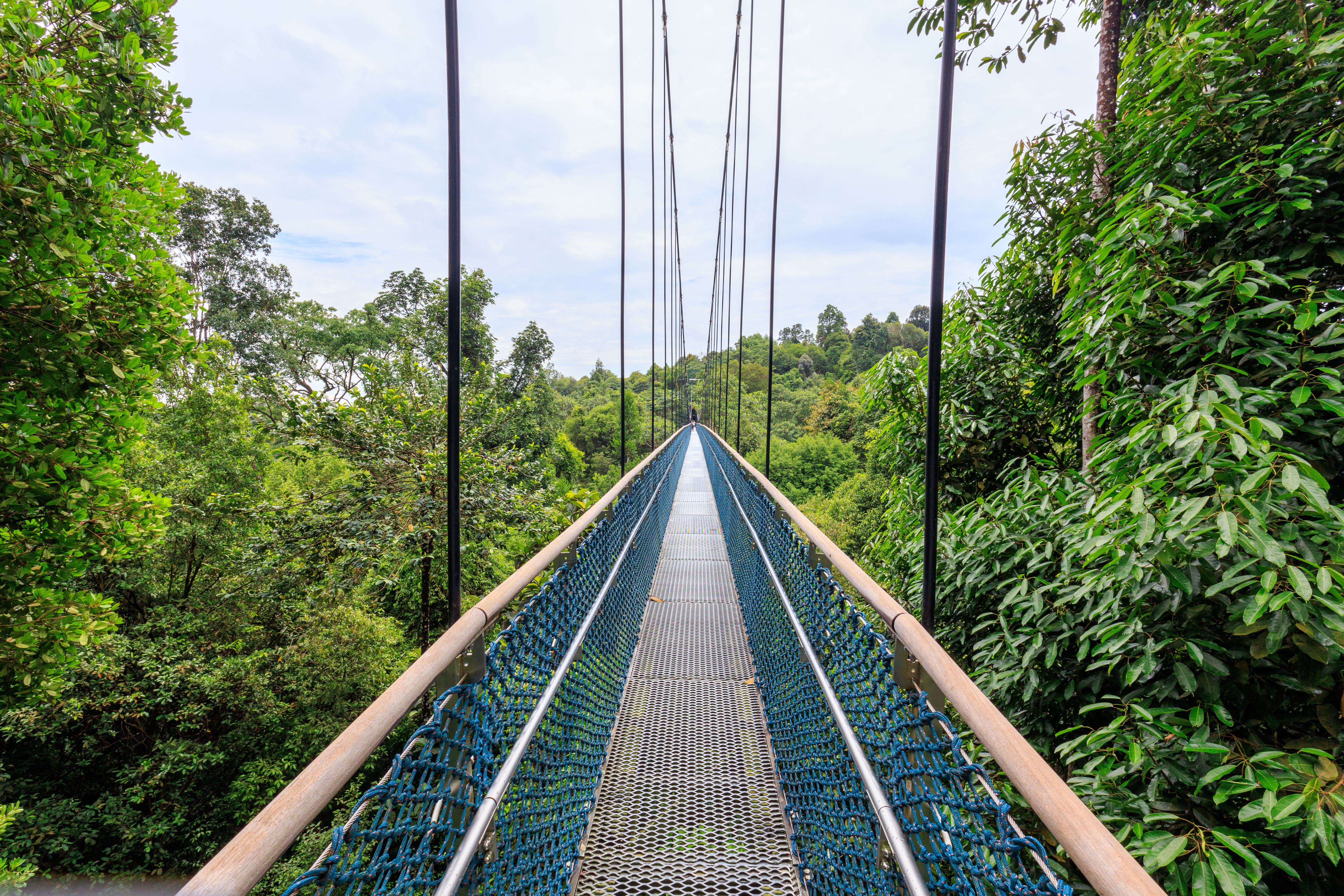 macritchie reservoir