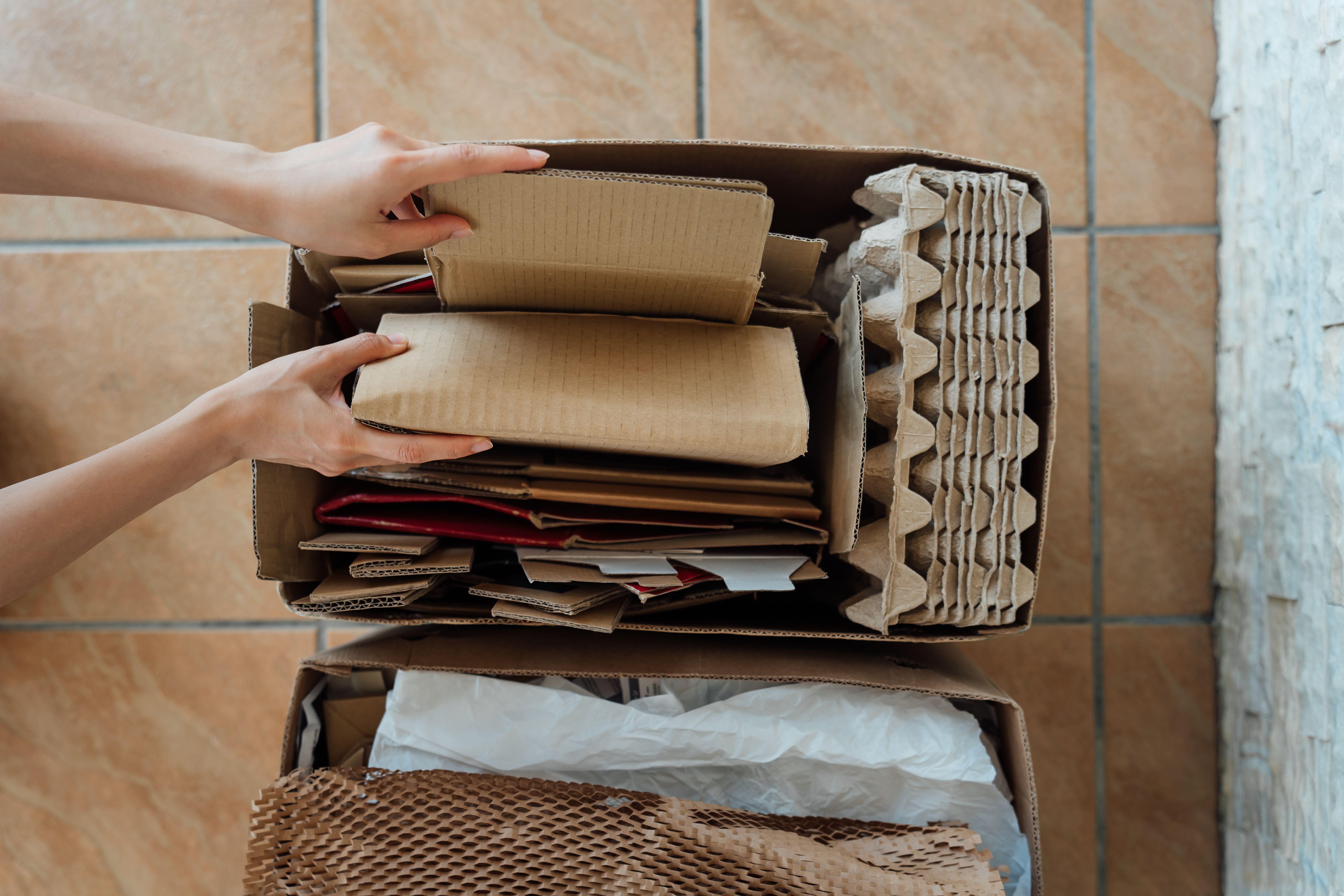 recycling sorting