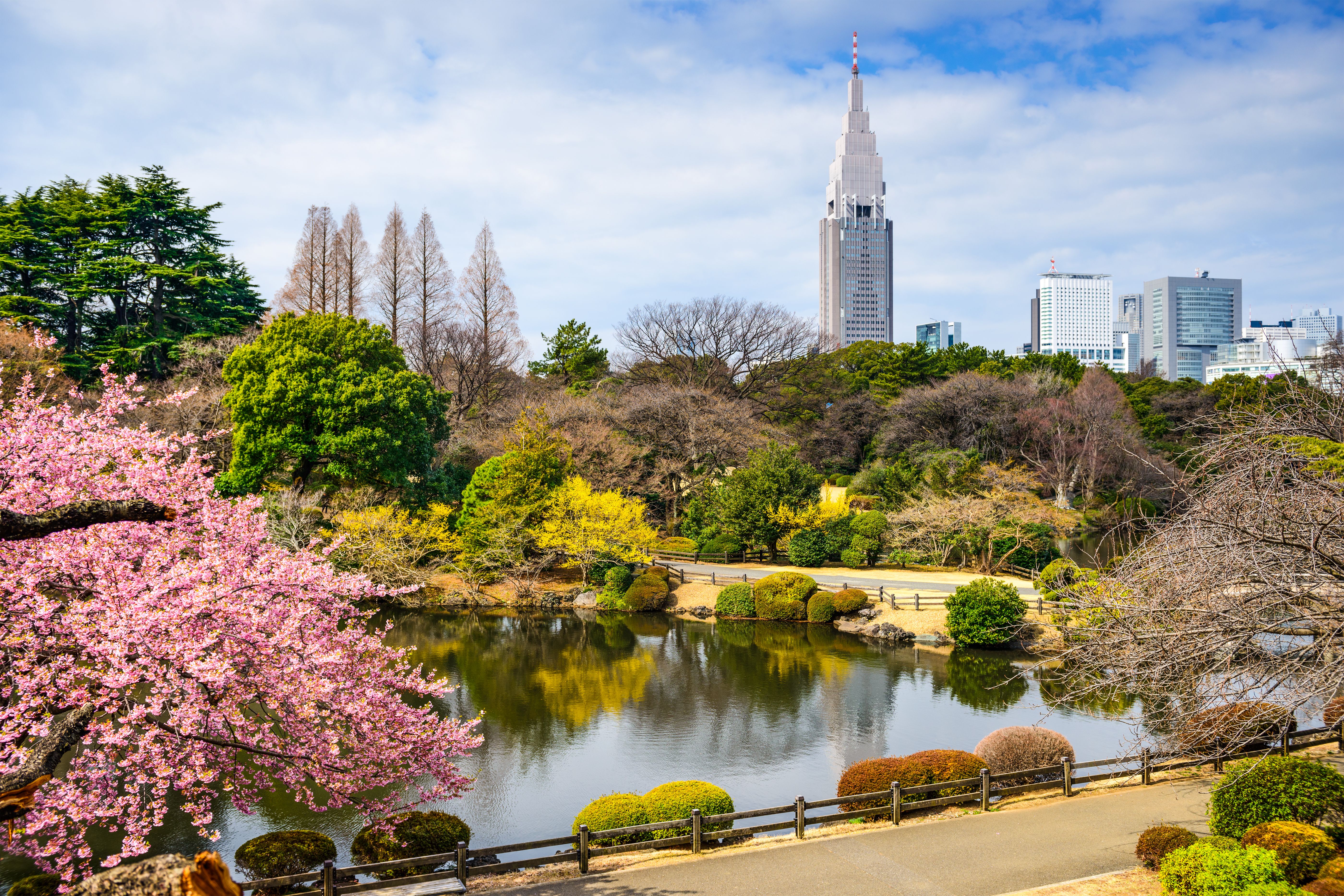 Shinjuku in Spring