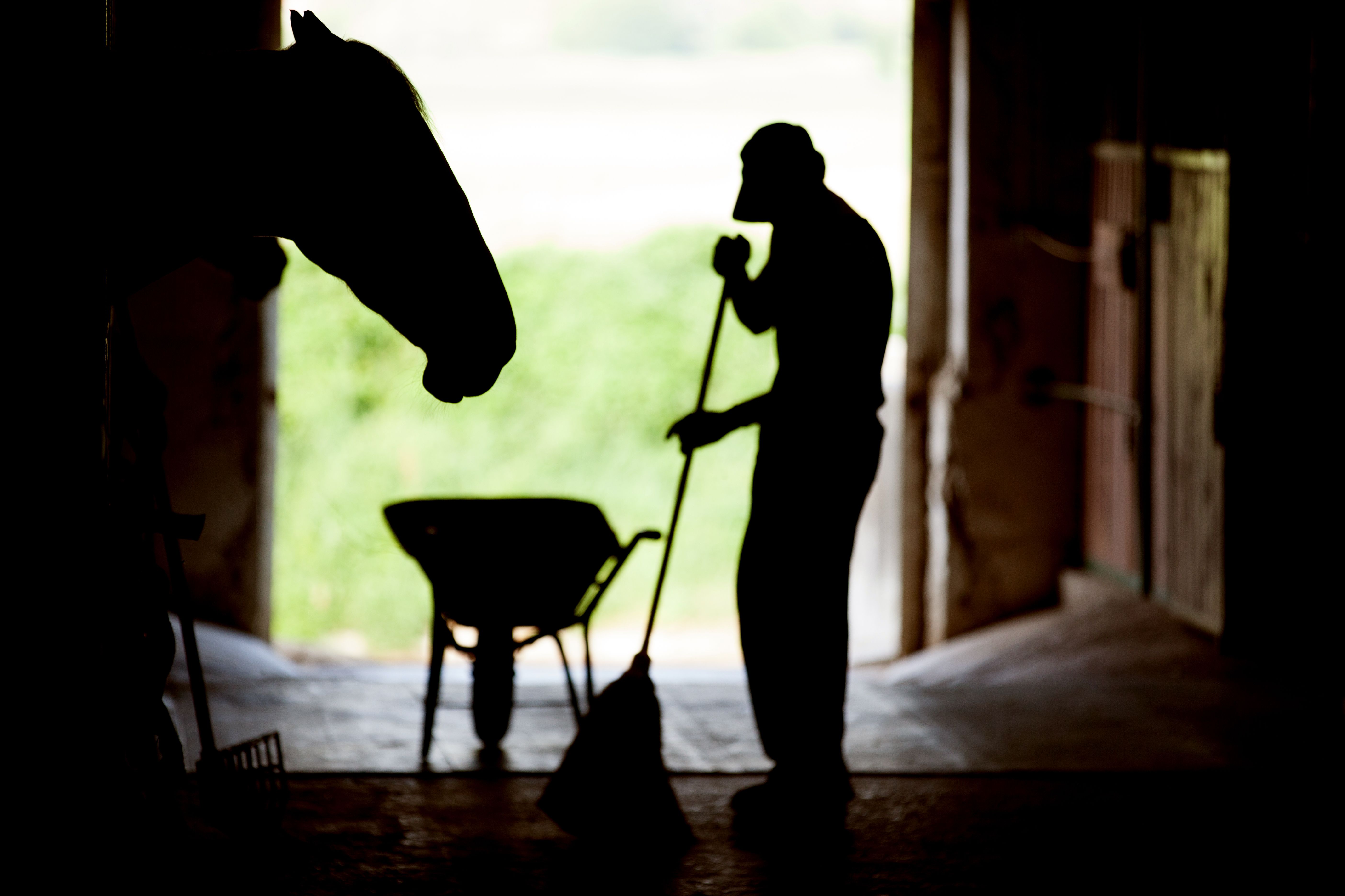 barn cleaning