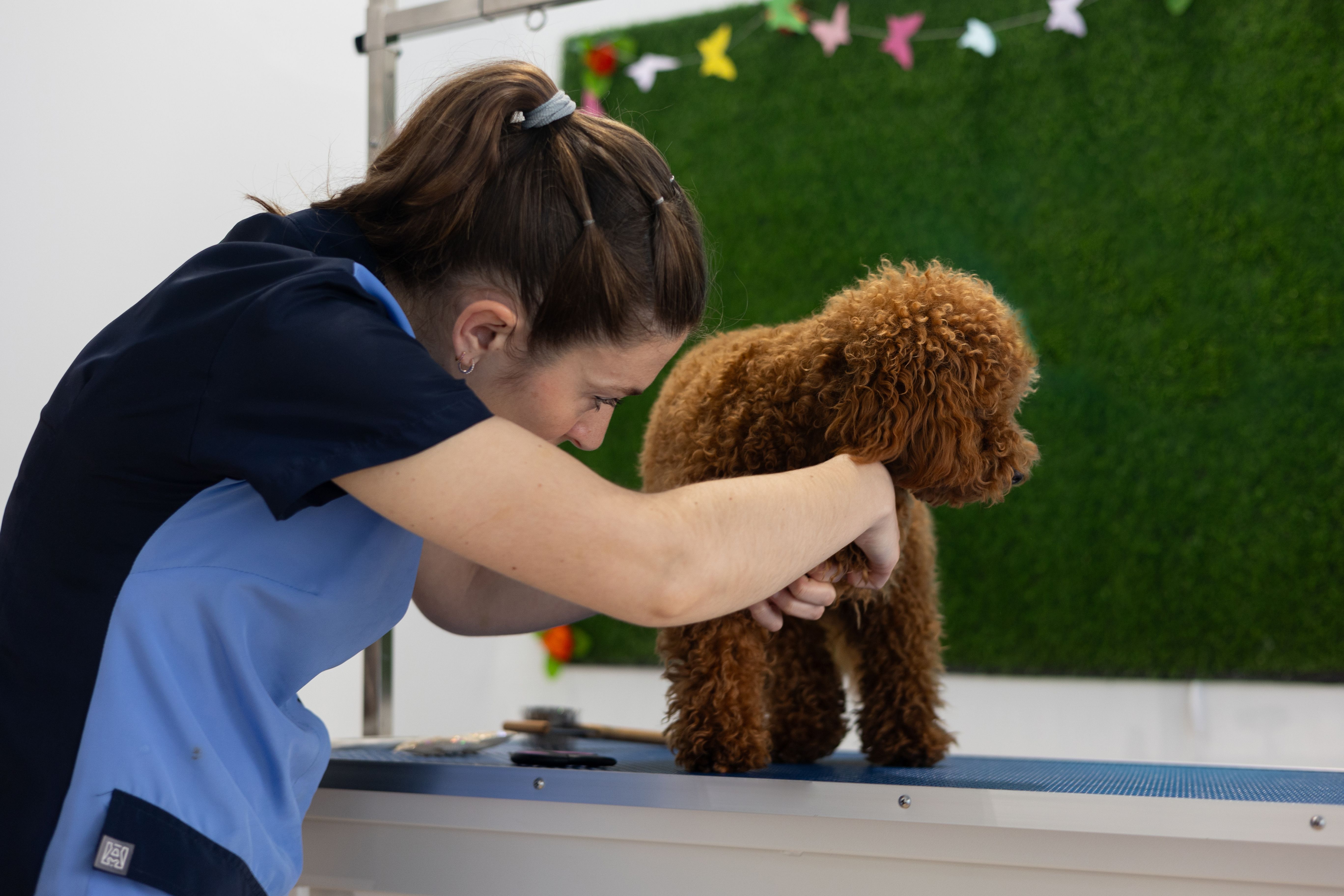 dog nail trimming