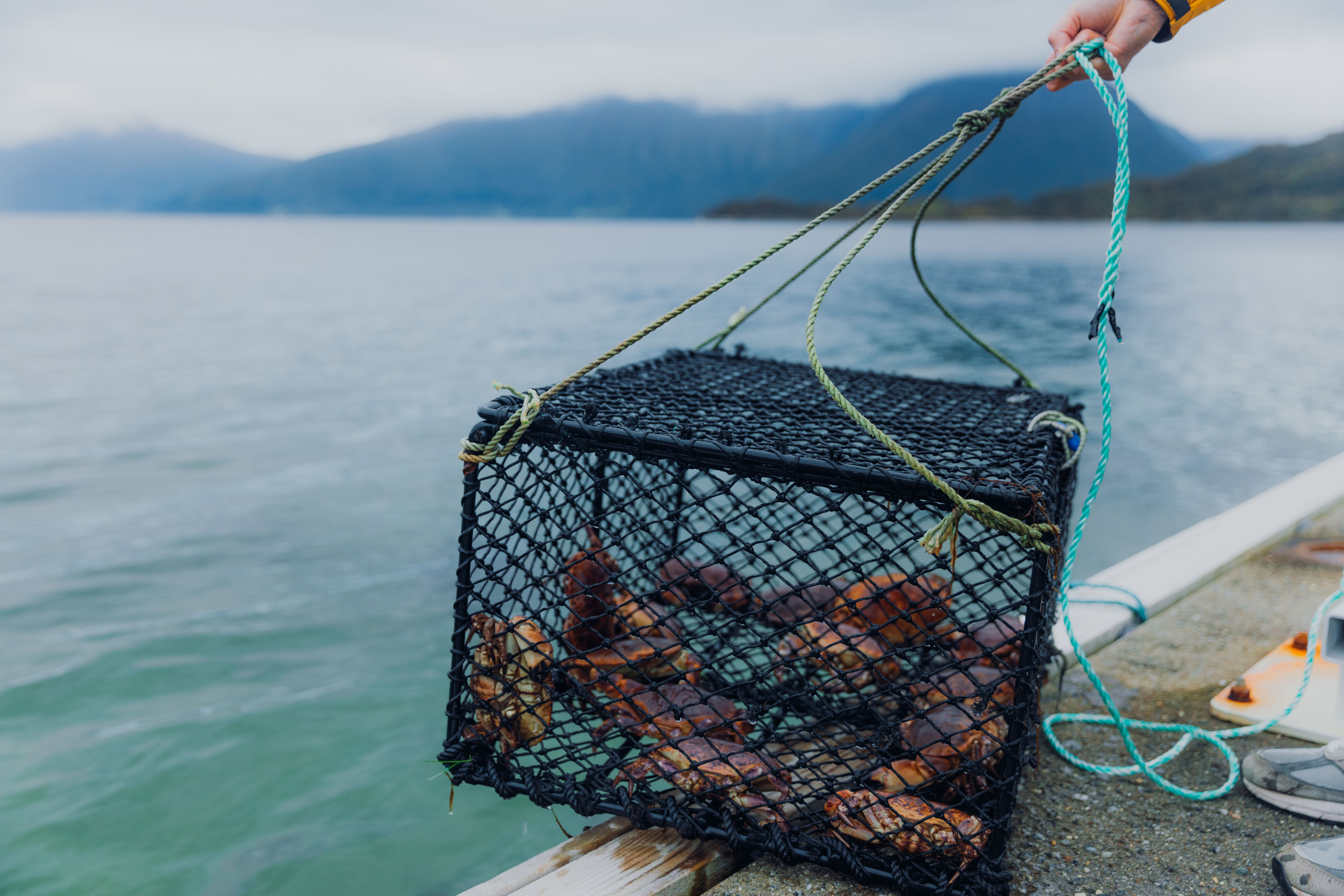fishing norwegian