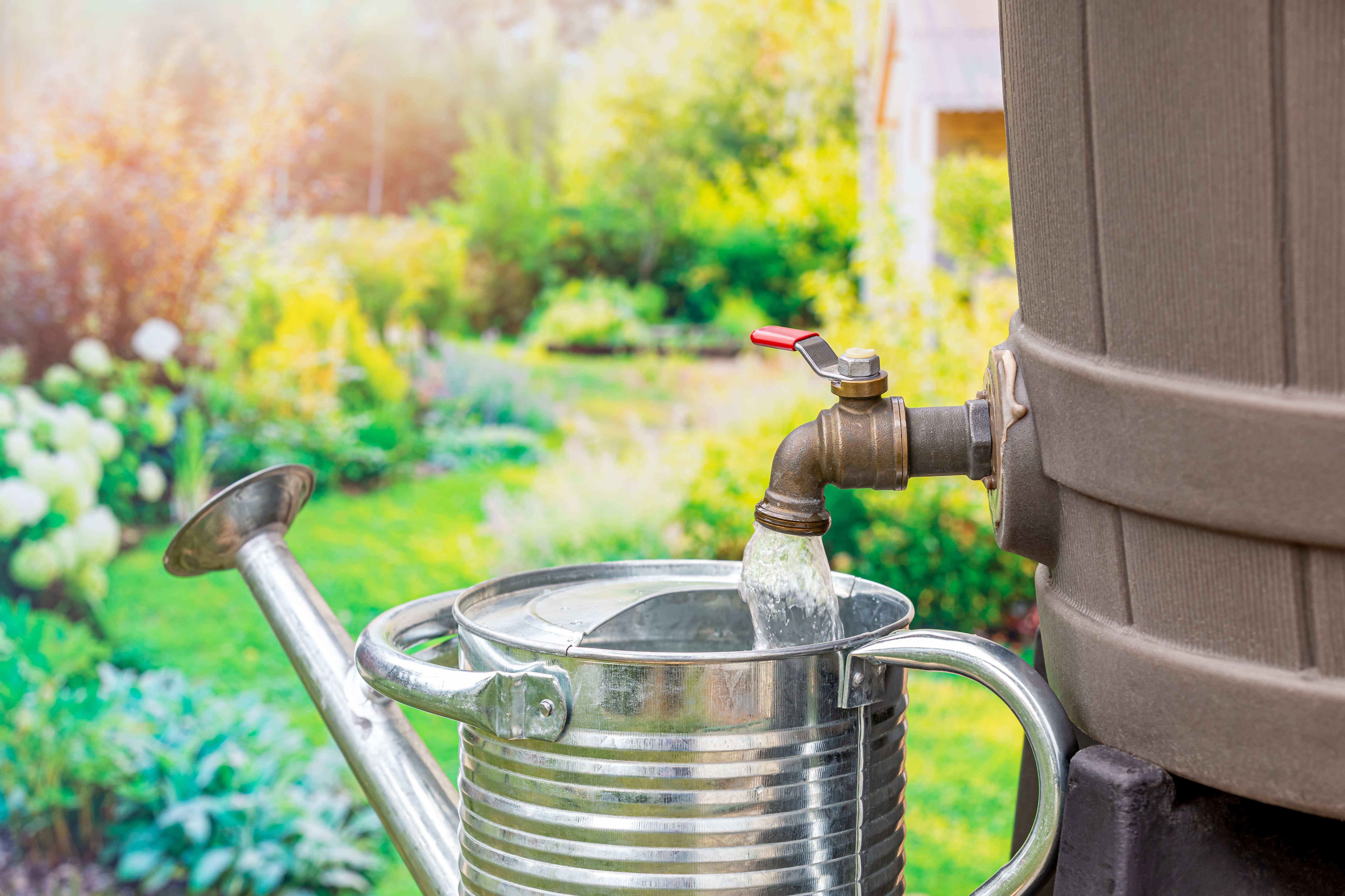 water conservation