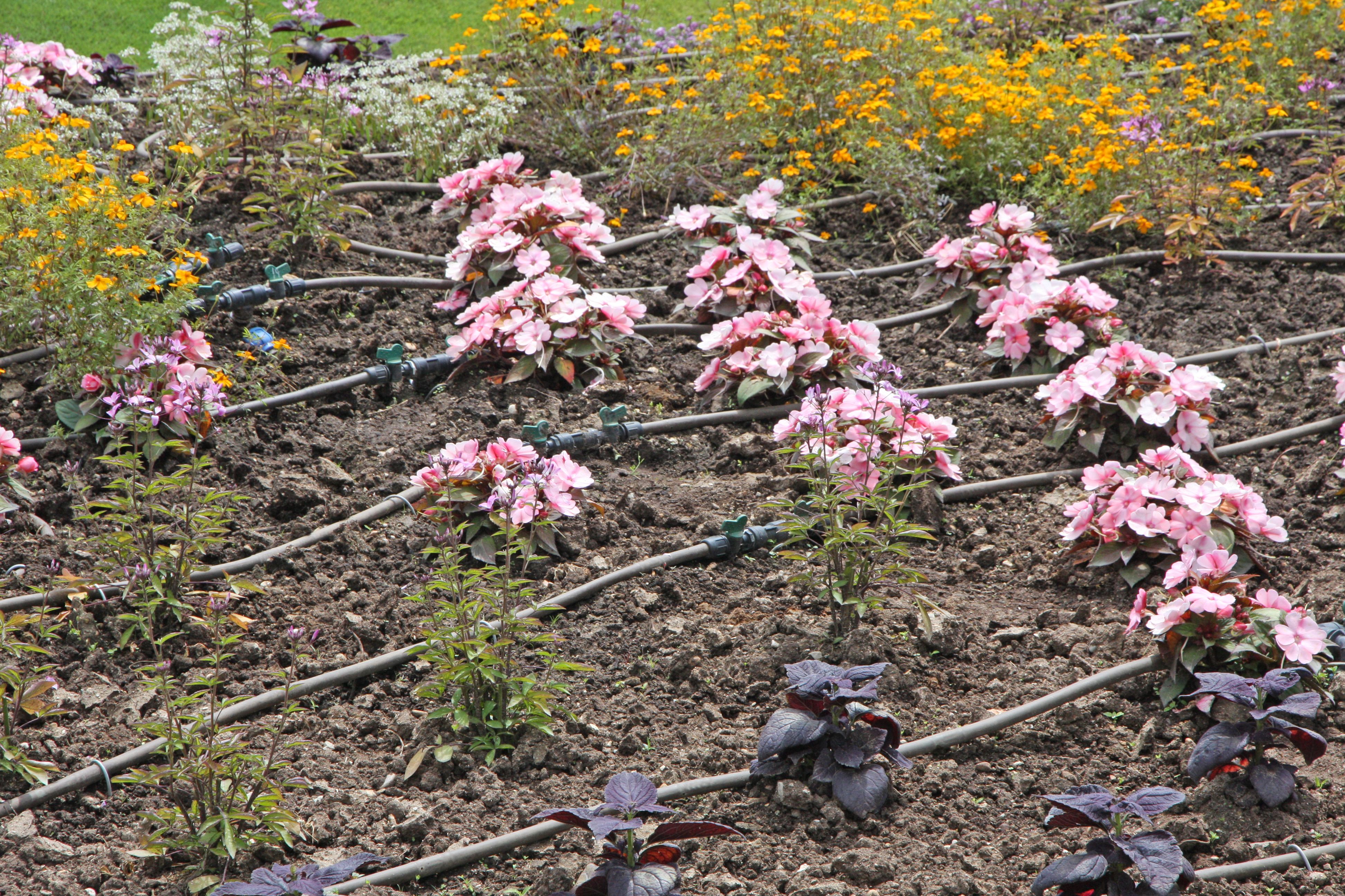 bewässerungssystem garten