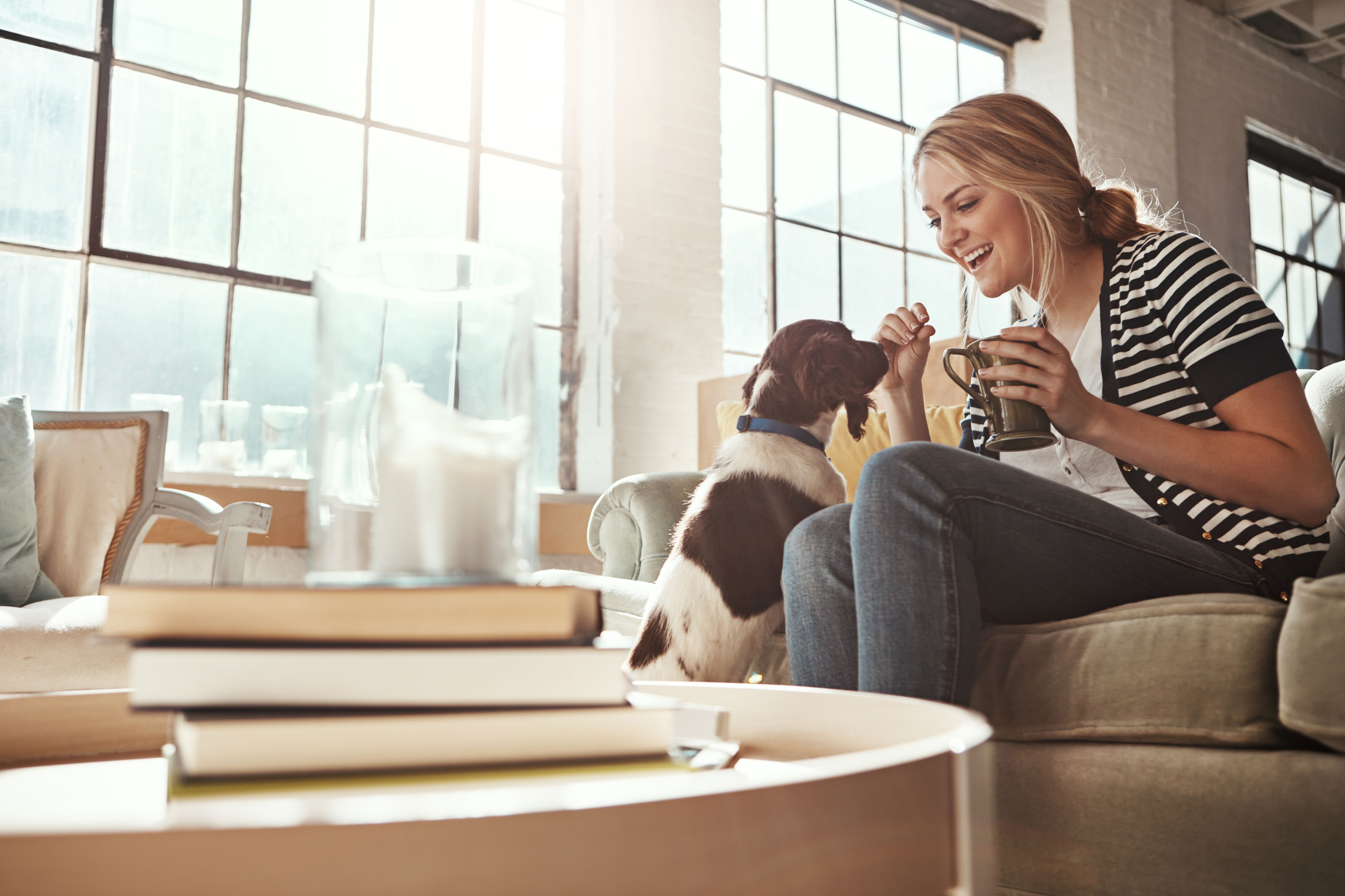 pet hydration