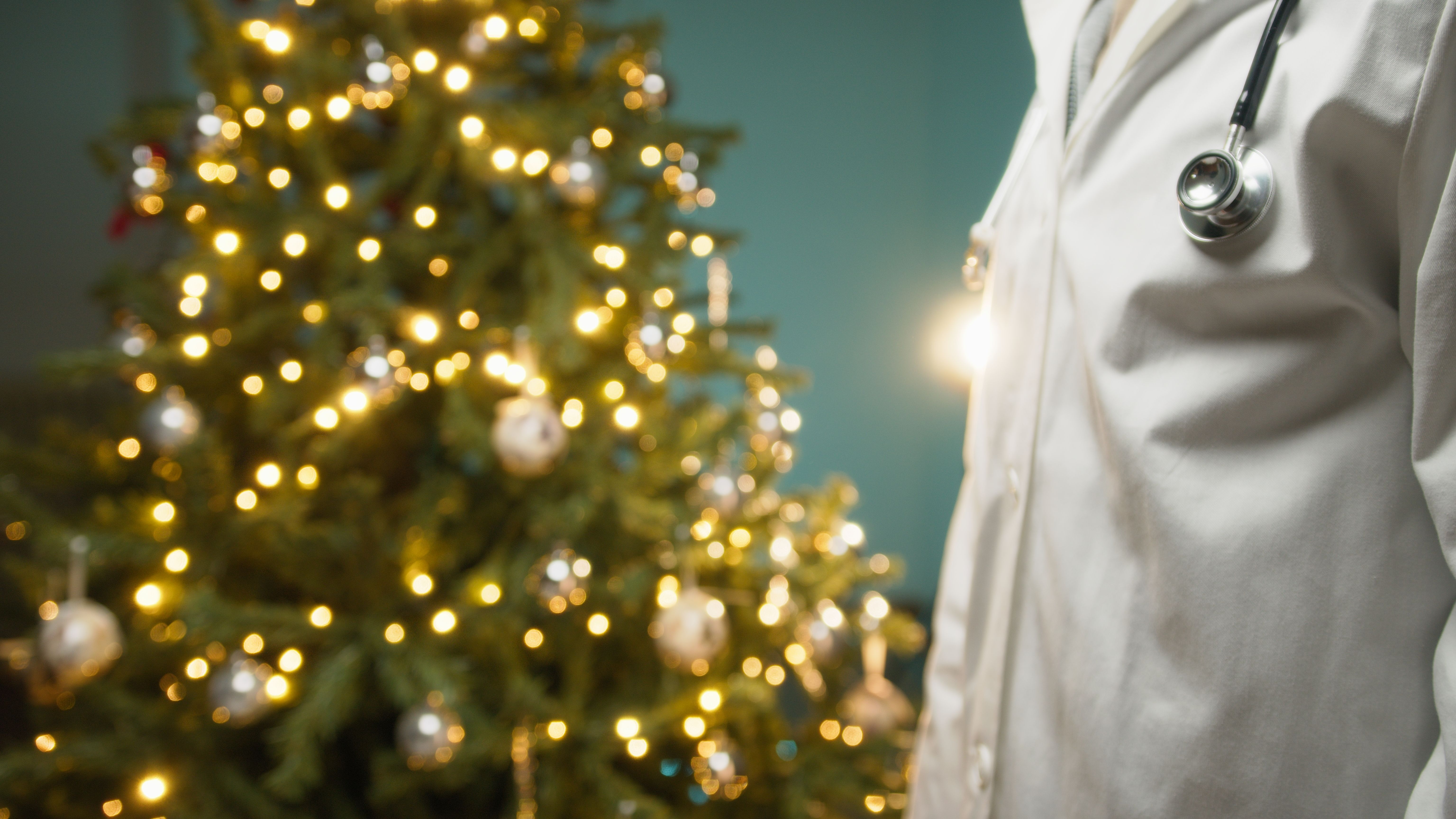 professional christmas lighting