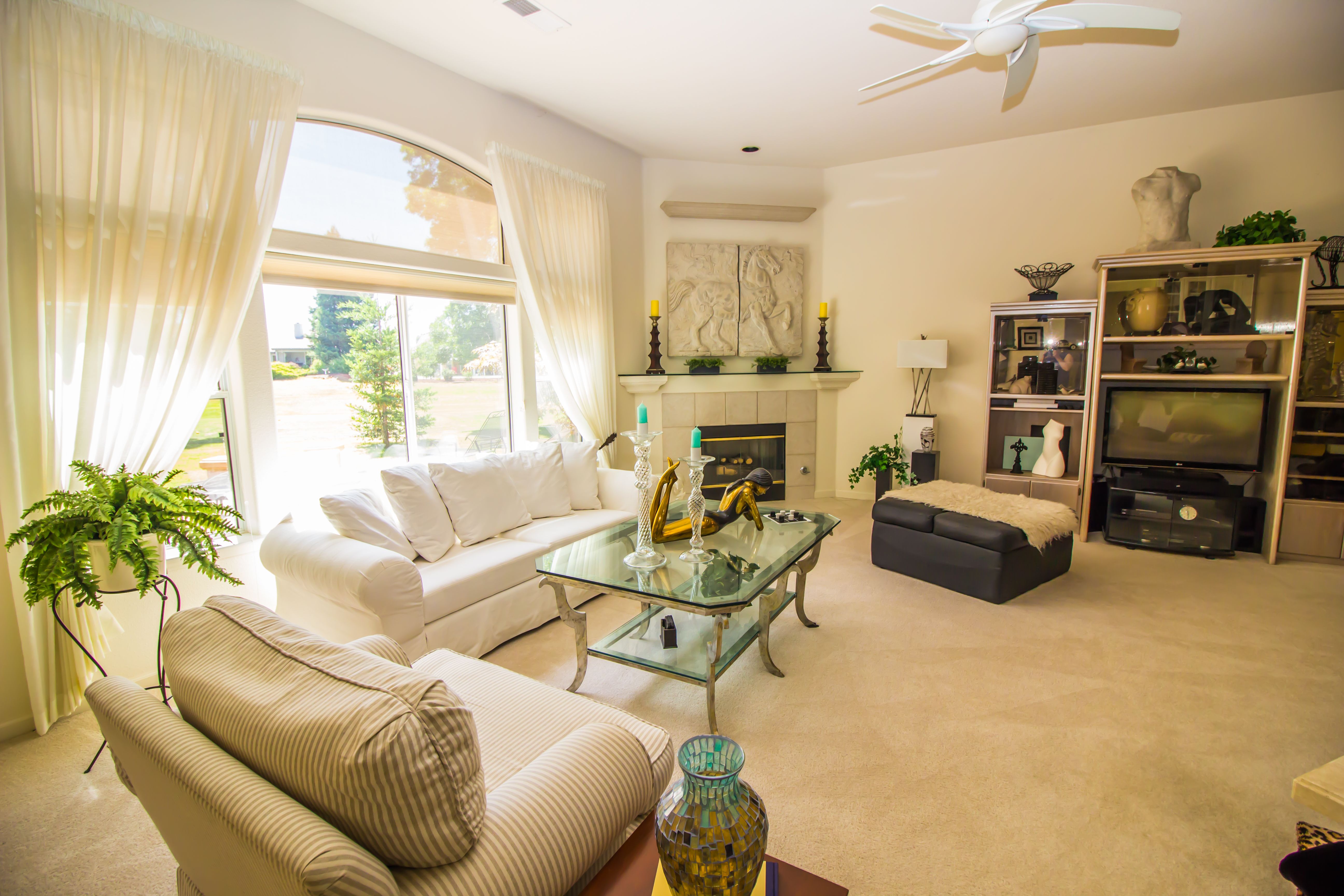 professional home stagers