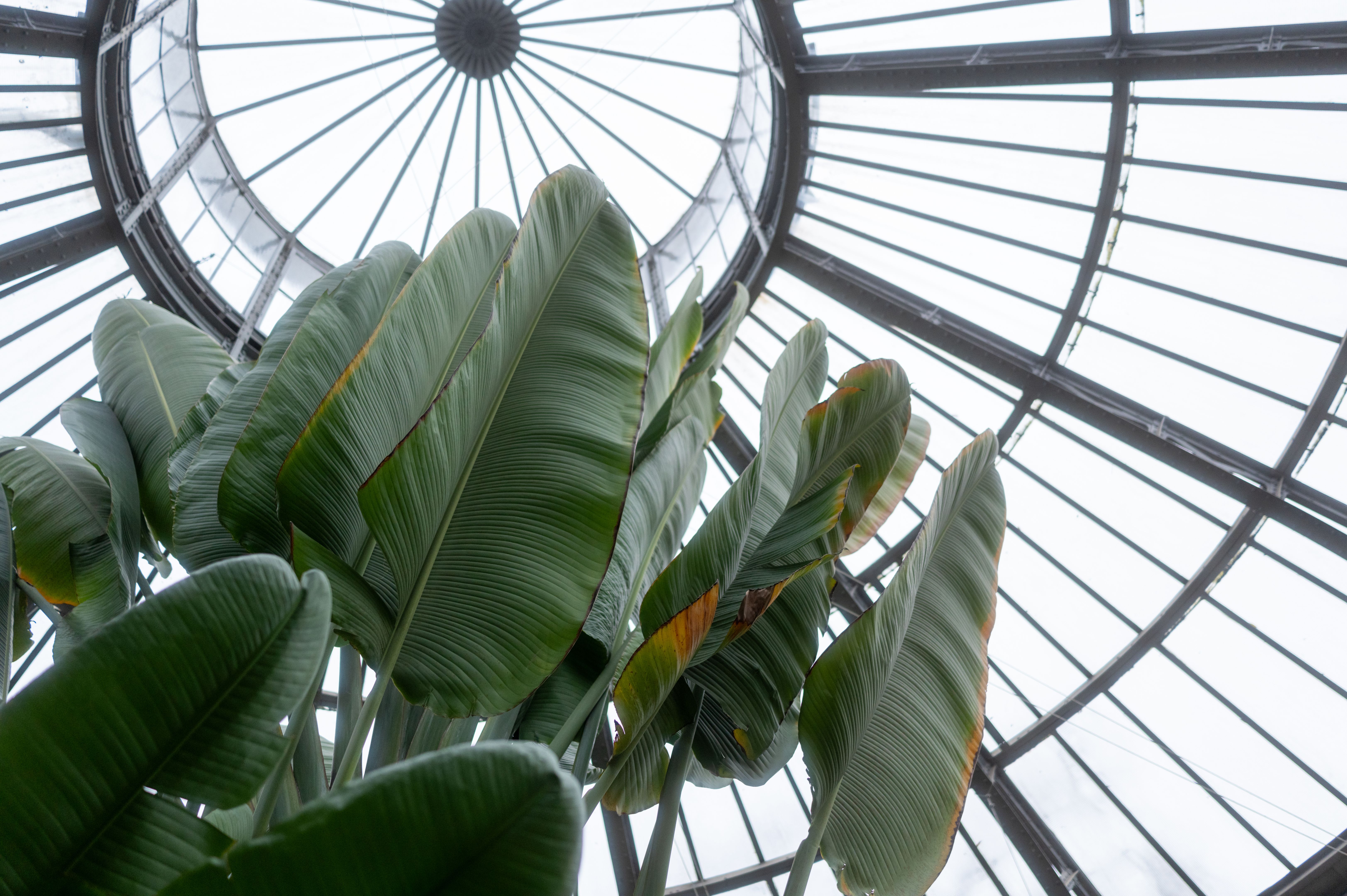 greenhouse materials