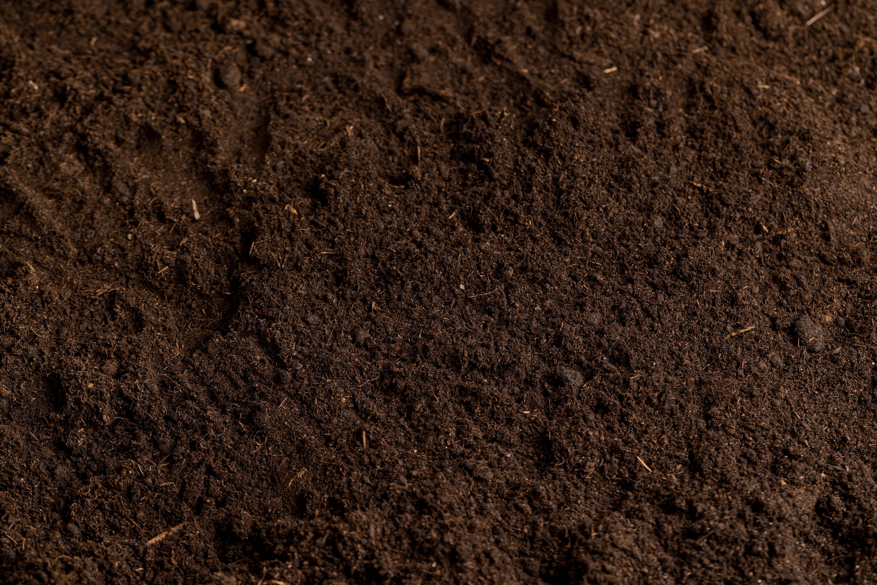 volcanic soil