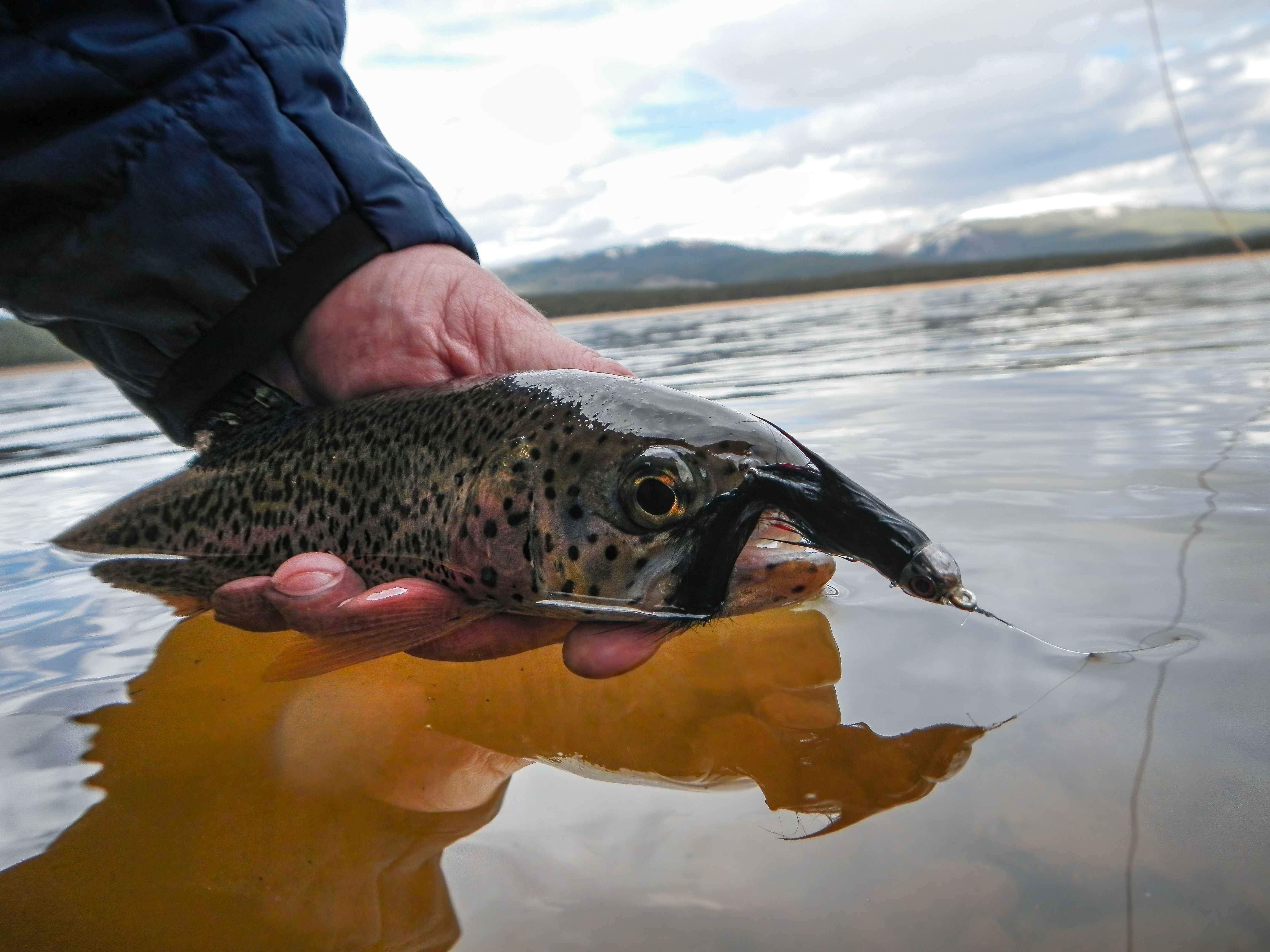 lifestyle lake county