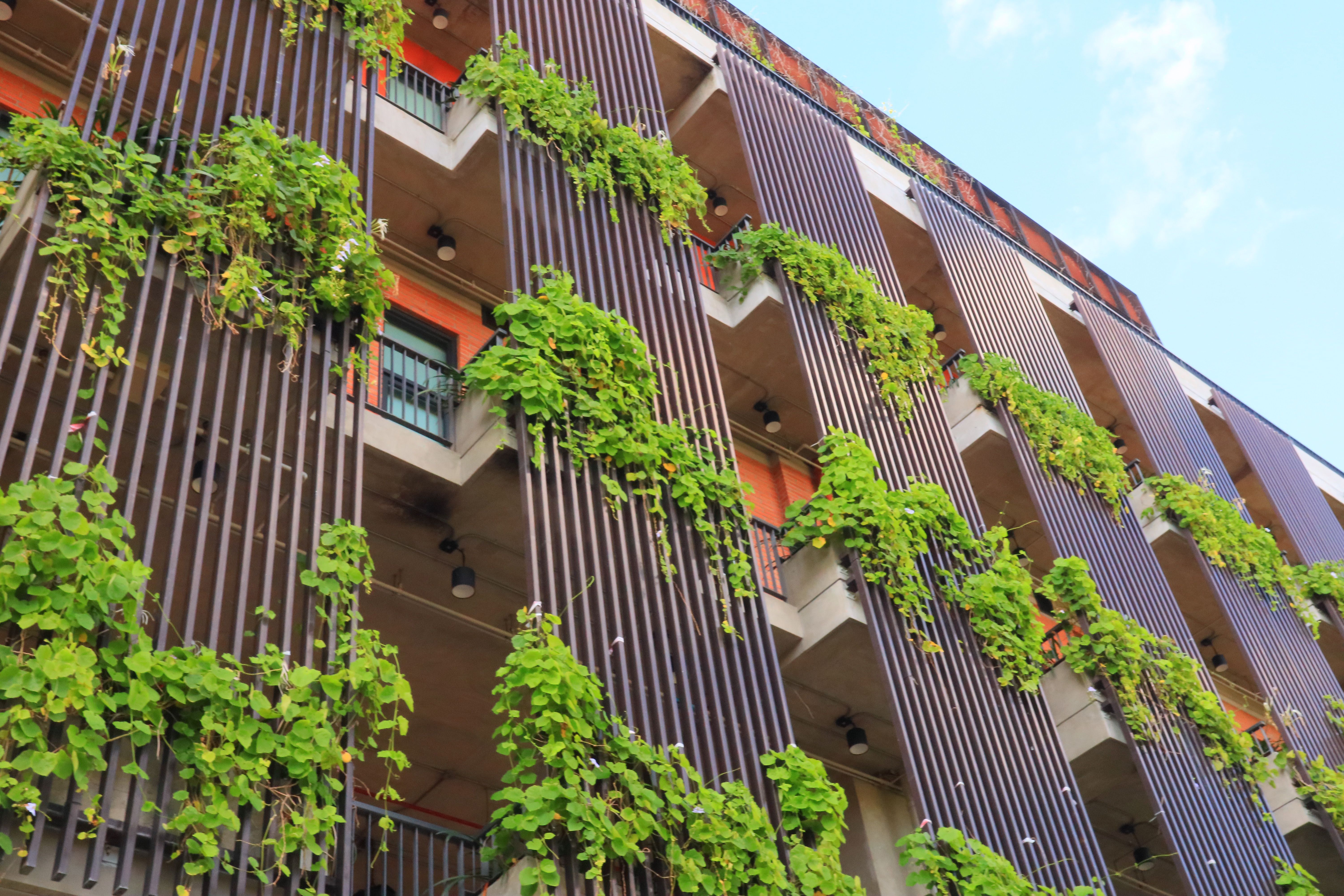 sustainable building