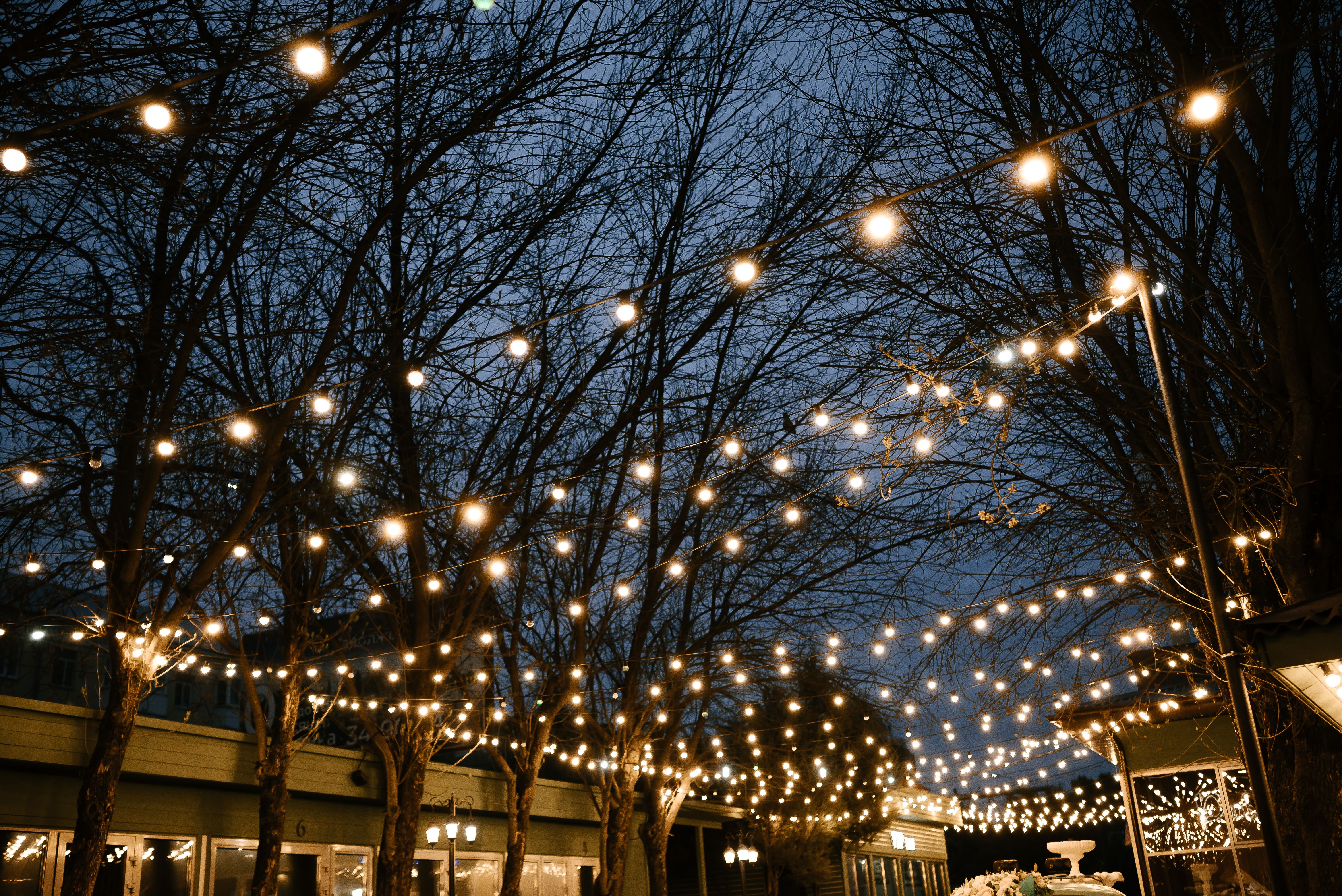 outdoor festival lights