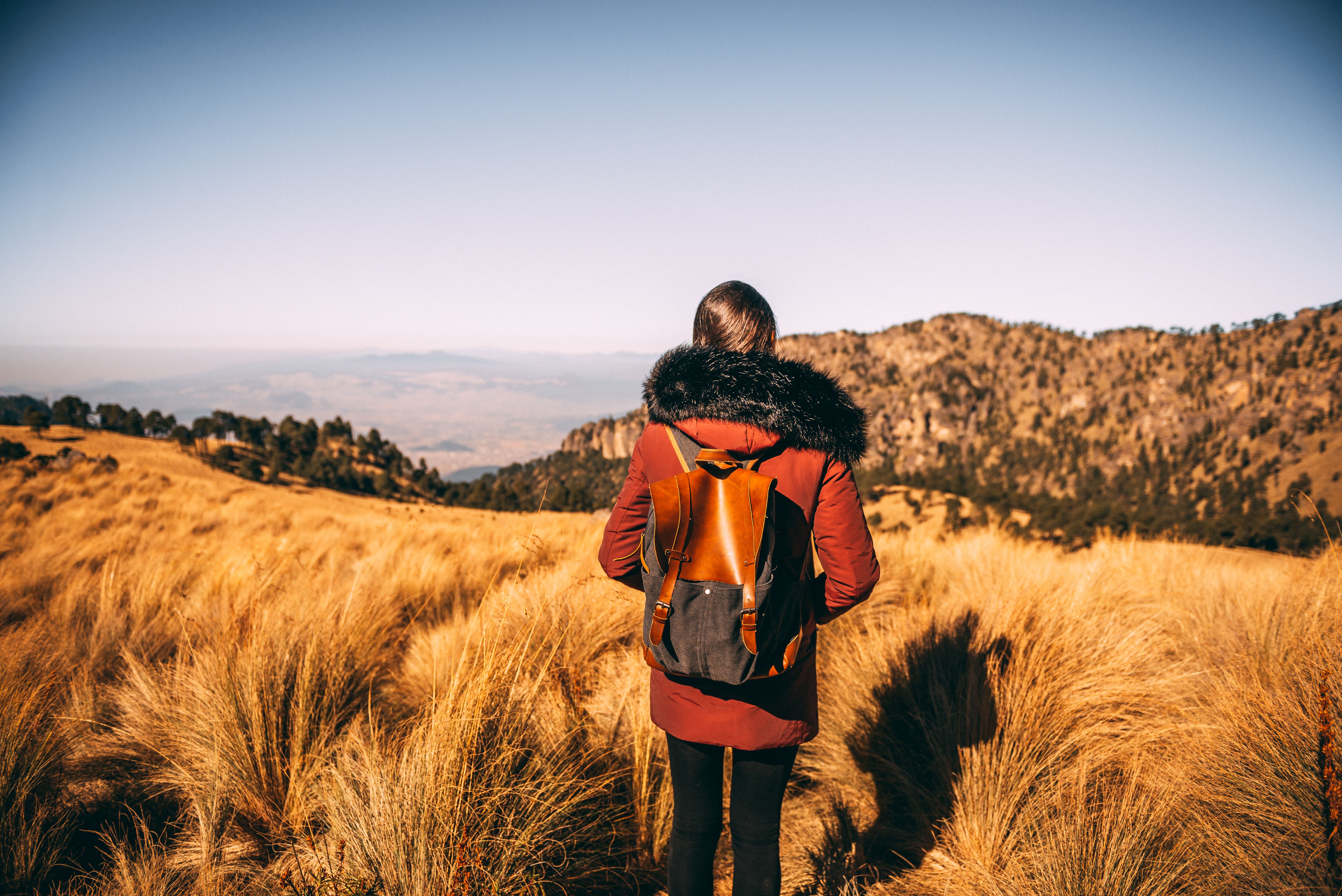 Enjoying the view. Enjoying the view.