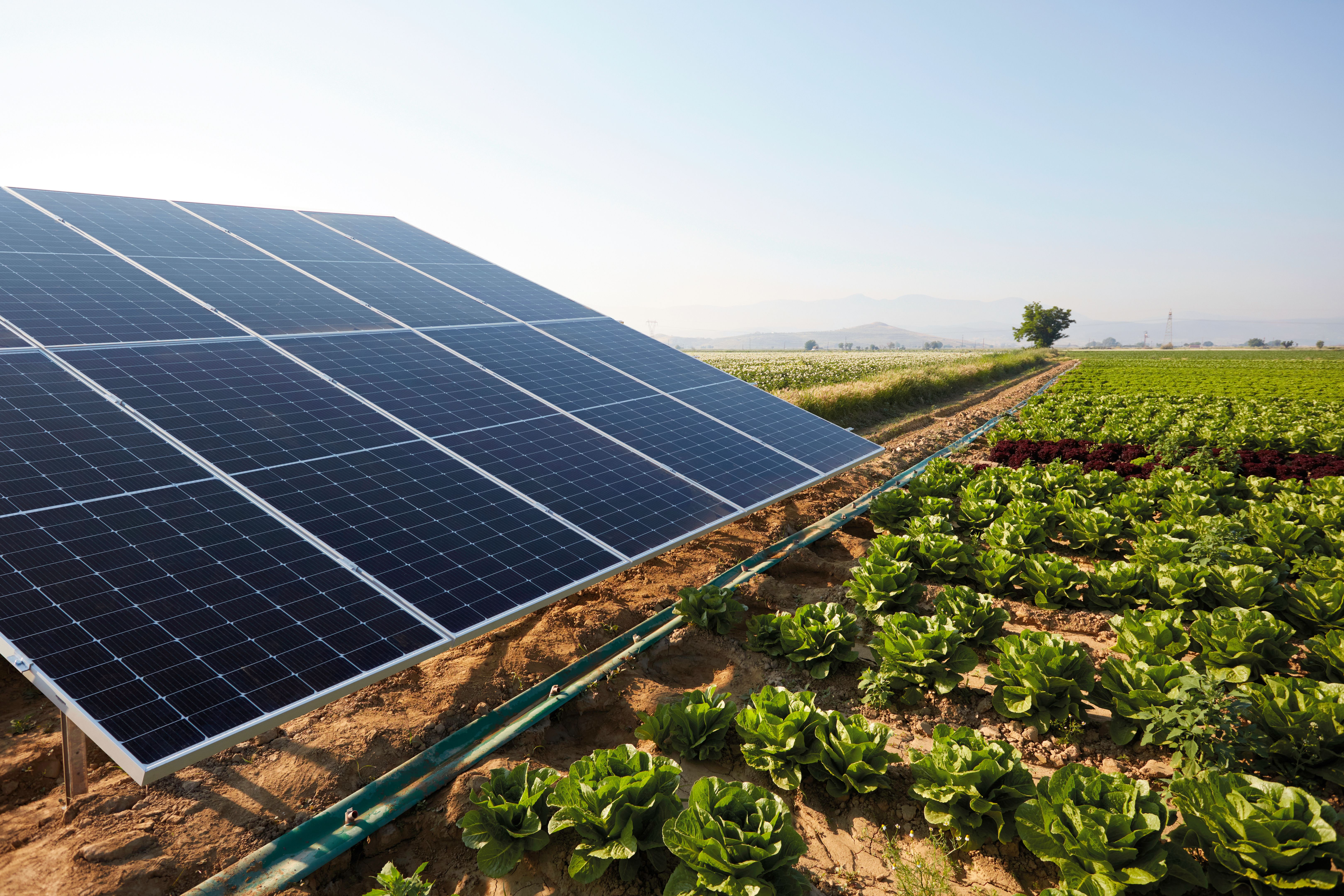 sustainable farming