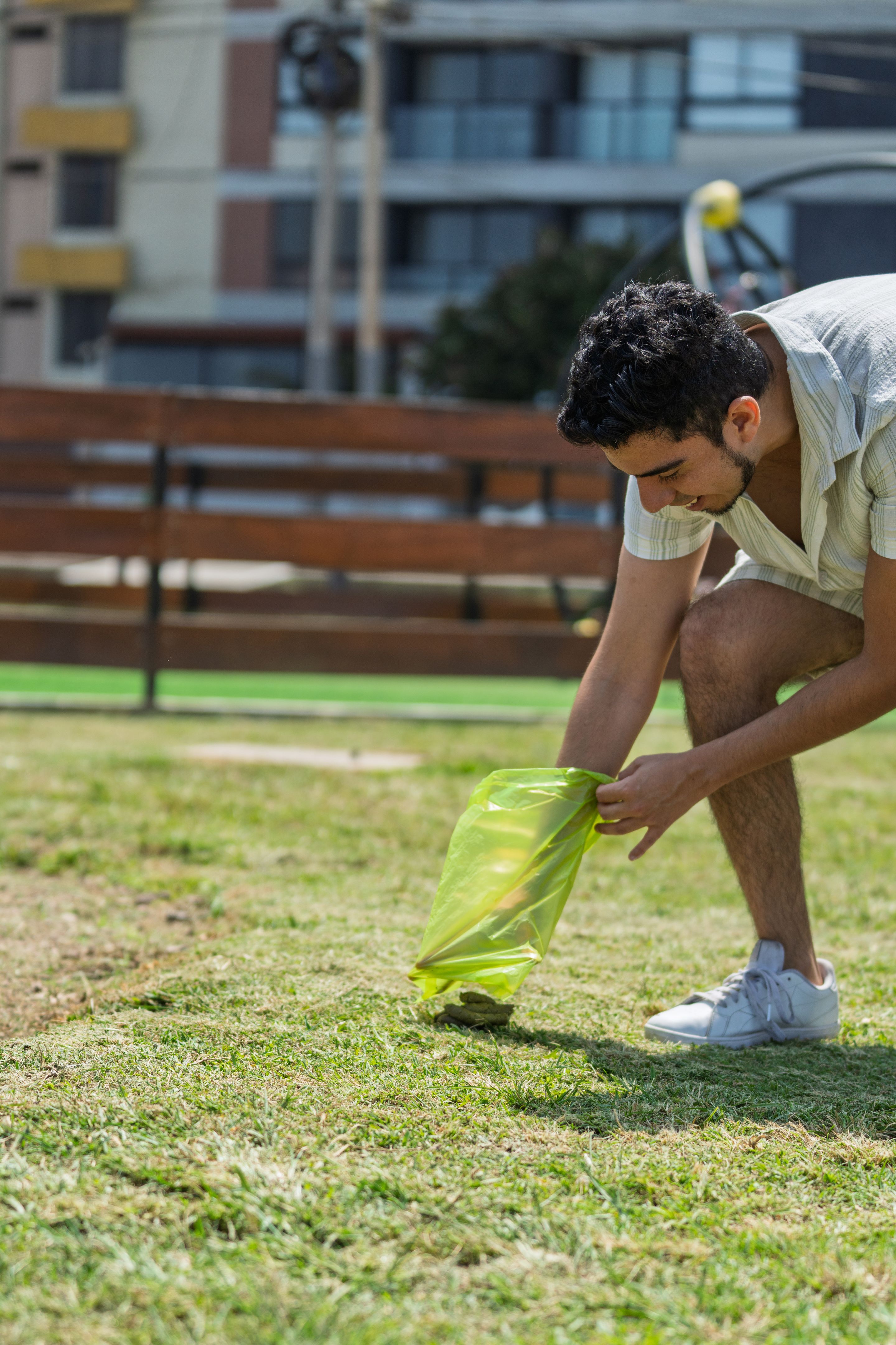 authentic collectibles