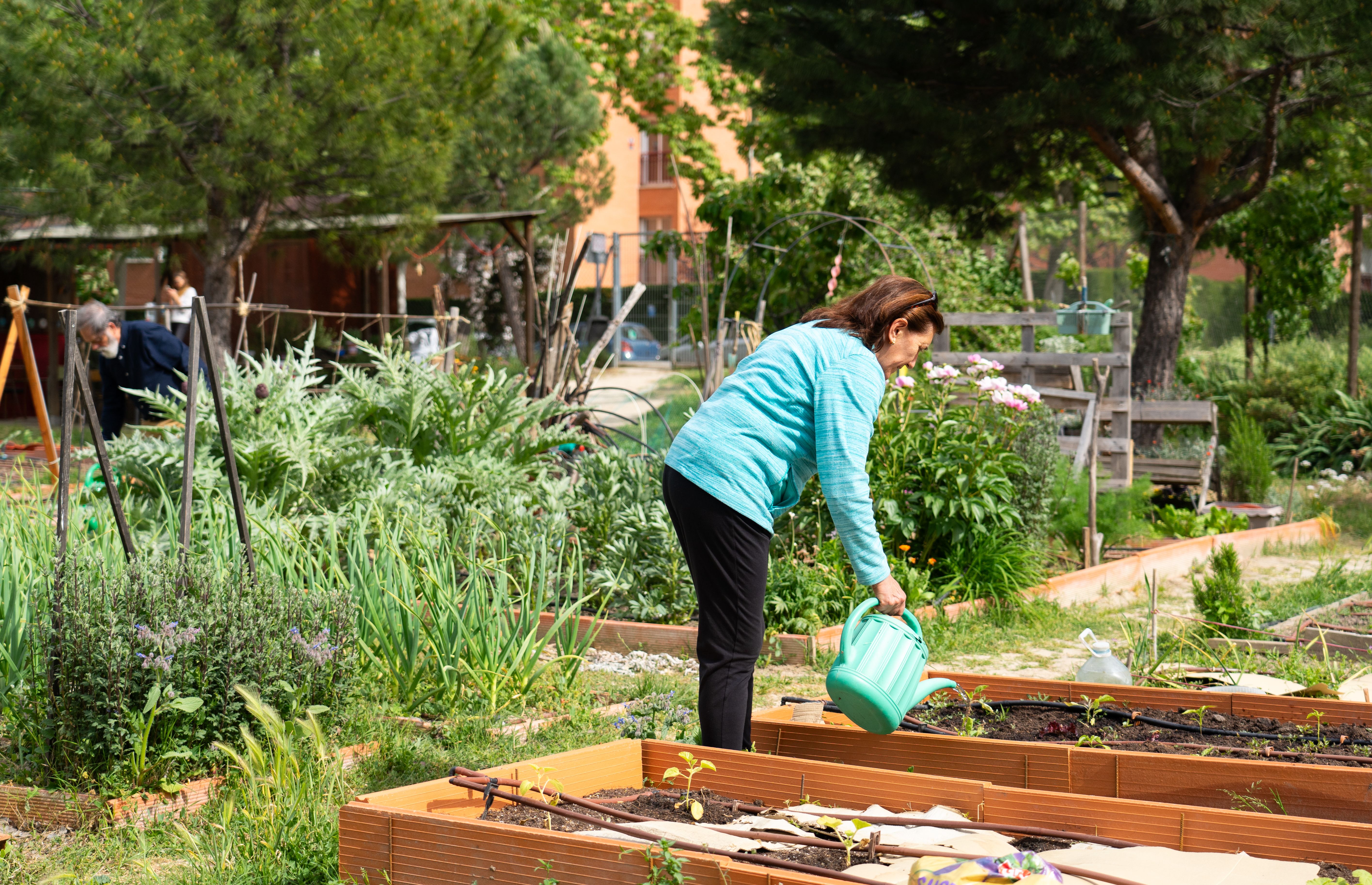 community gardening