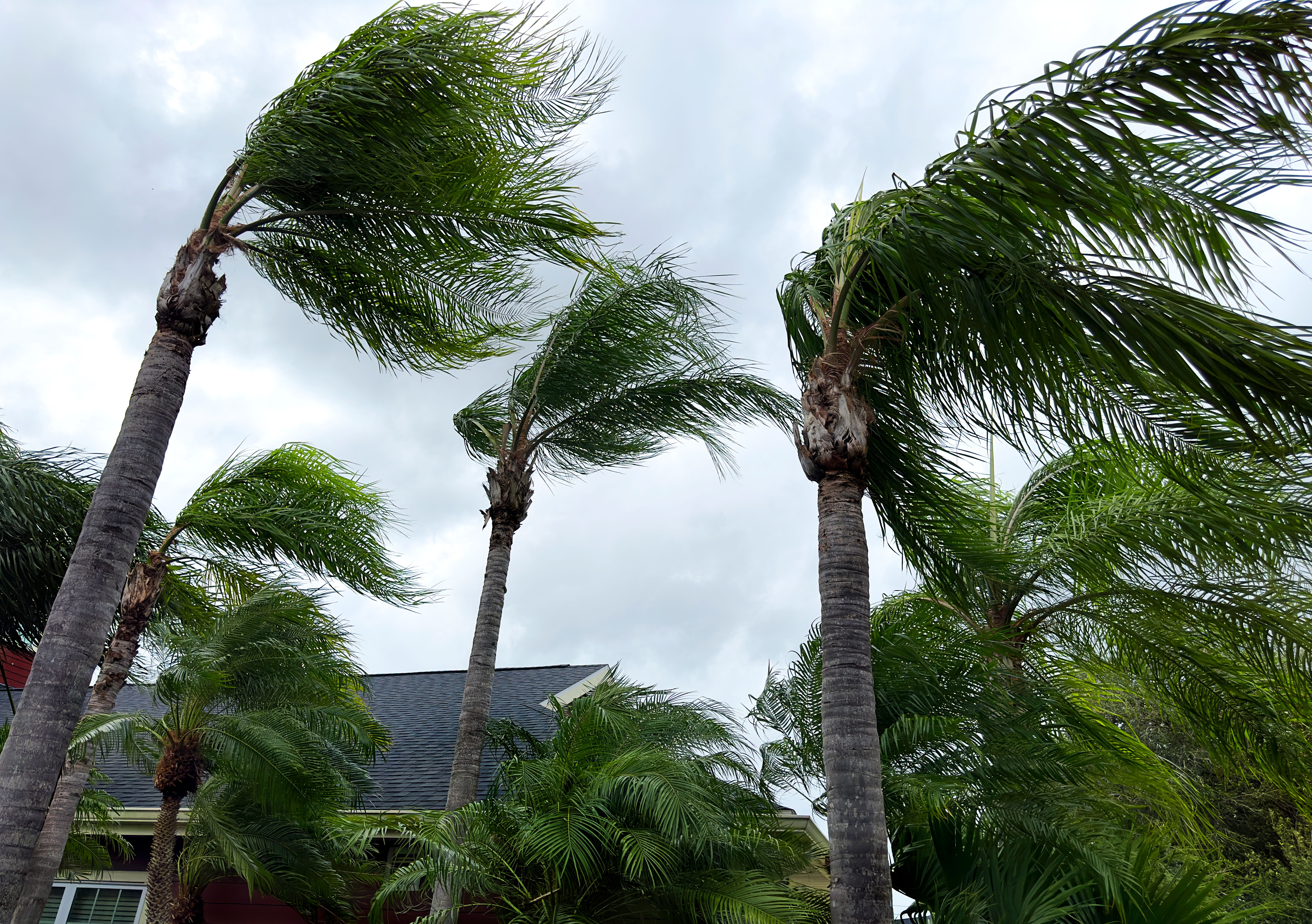 vacation rental flexibility