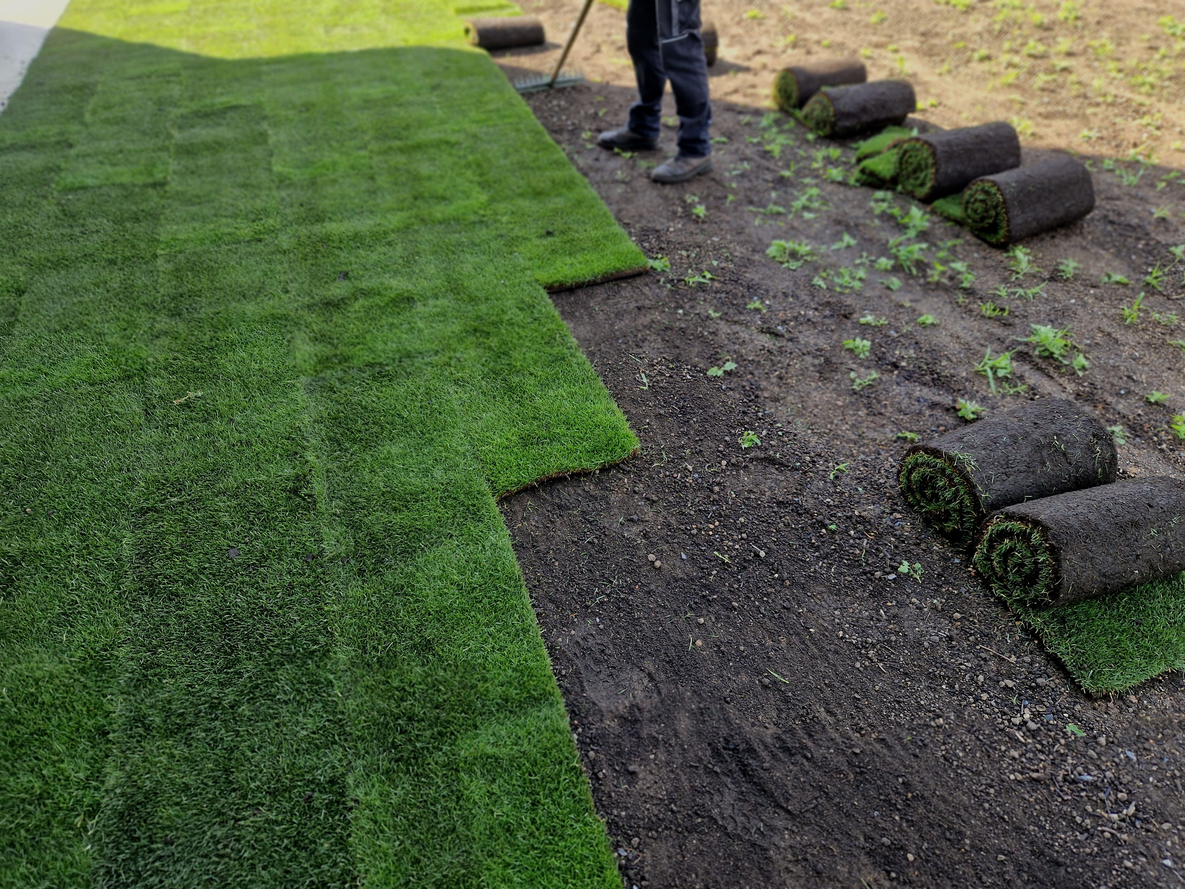 sod laying