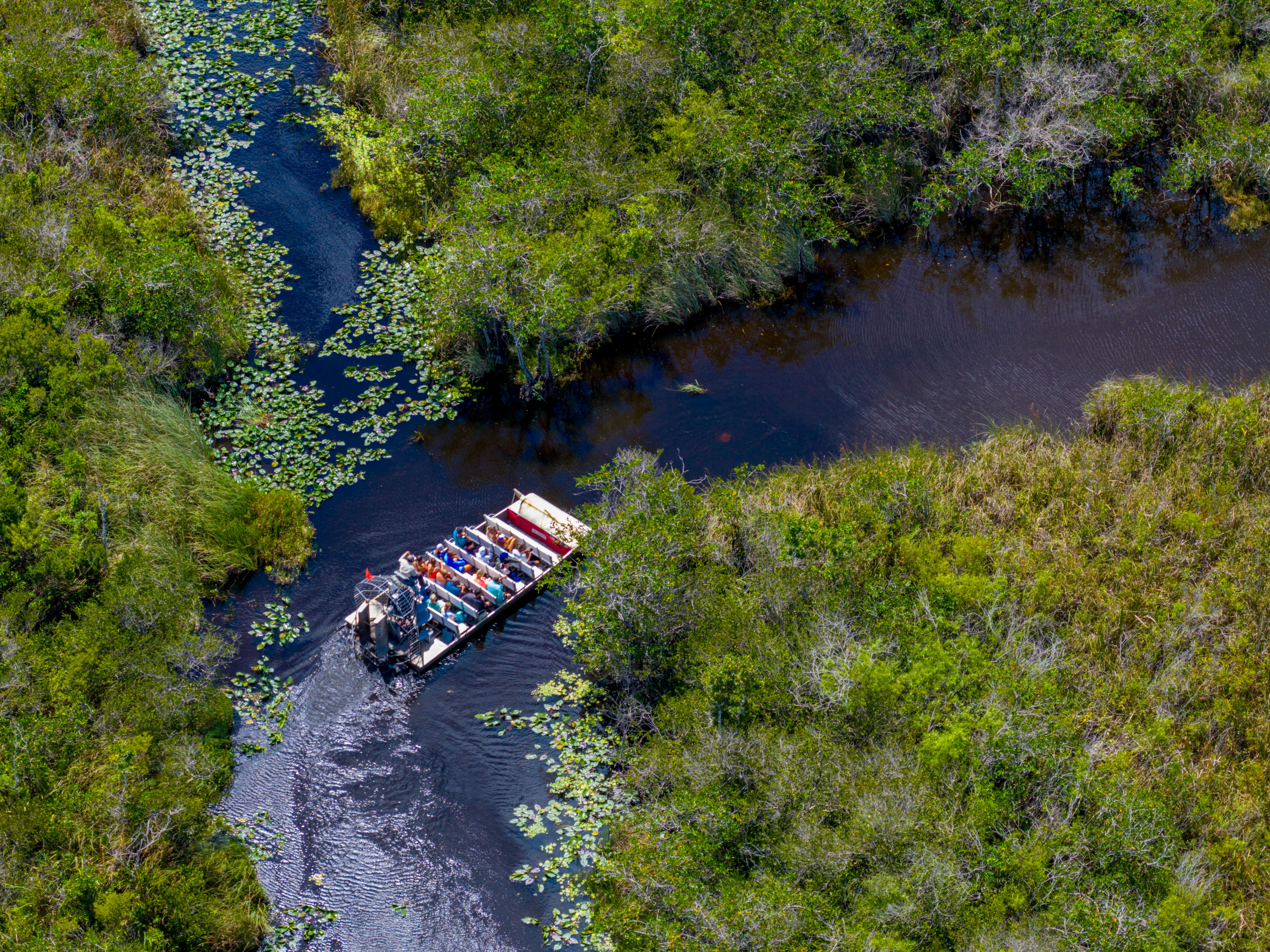 everglades tour