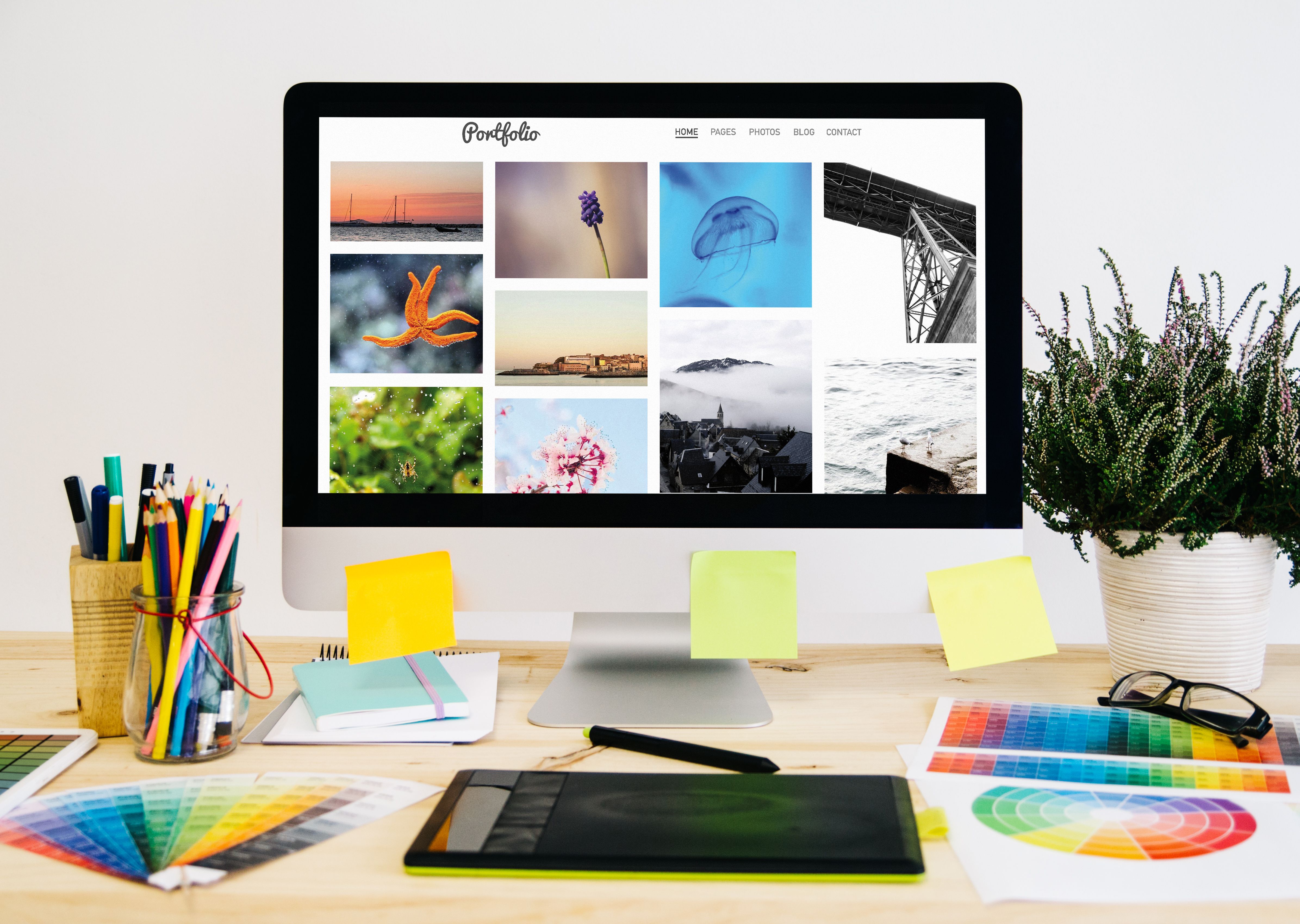 creative portfolio