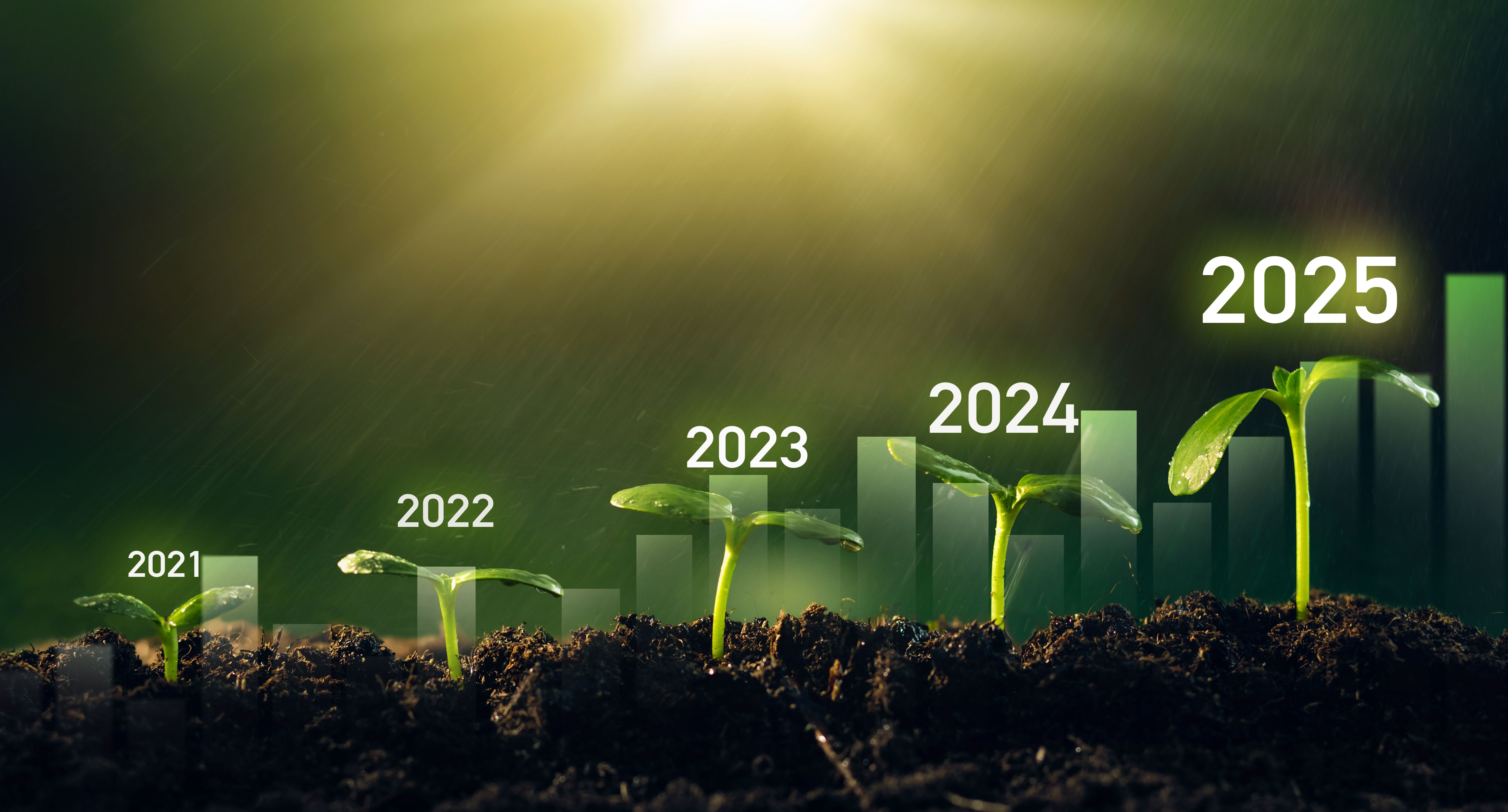 Seedling are growing from soil with growth comparative year 2021 to 2025. Concept of business growth, profit, agriculture, development and success graph.