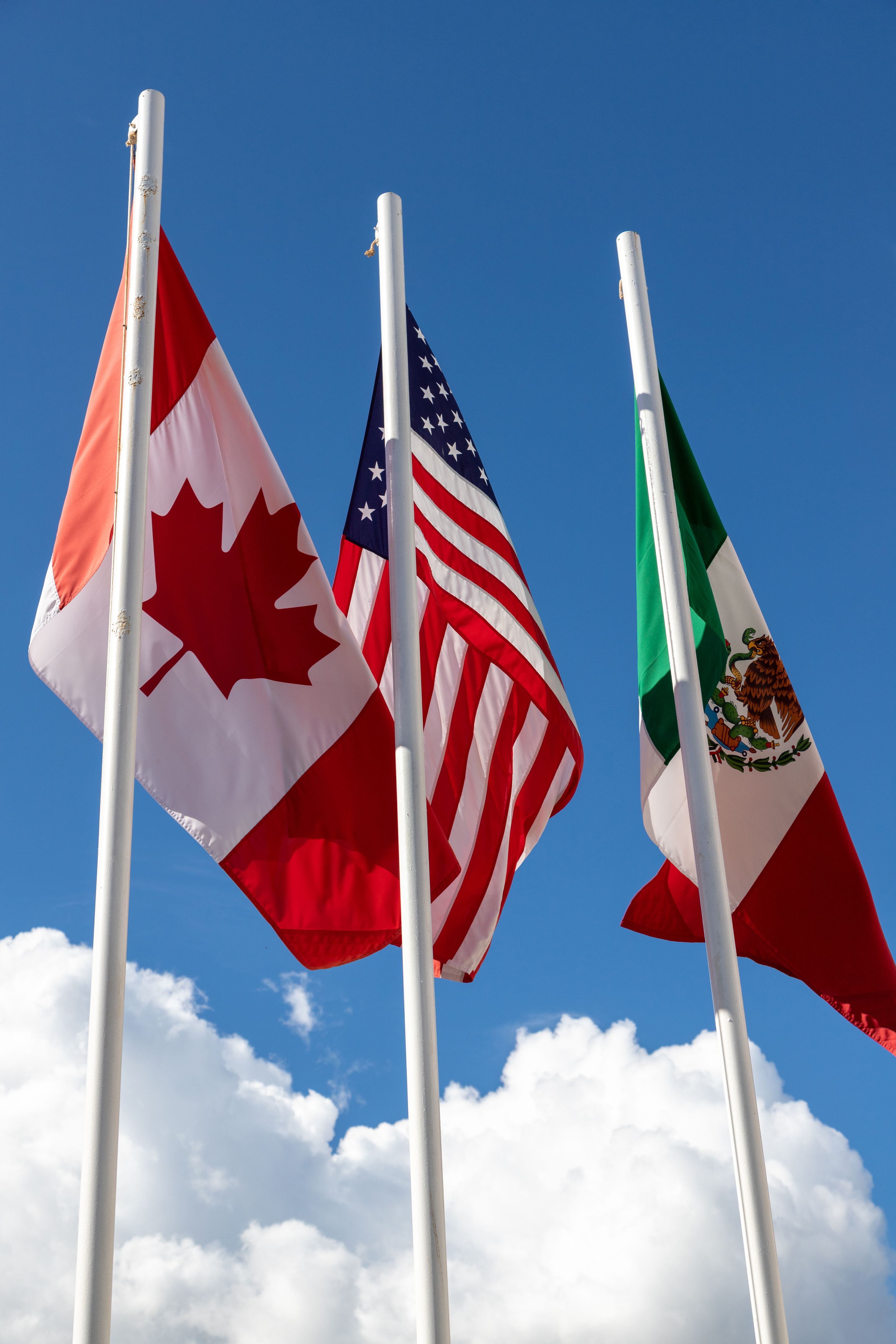 flags USMCA