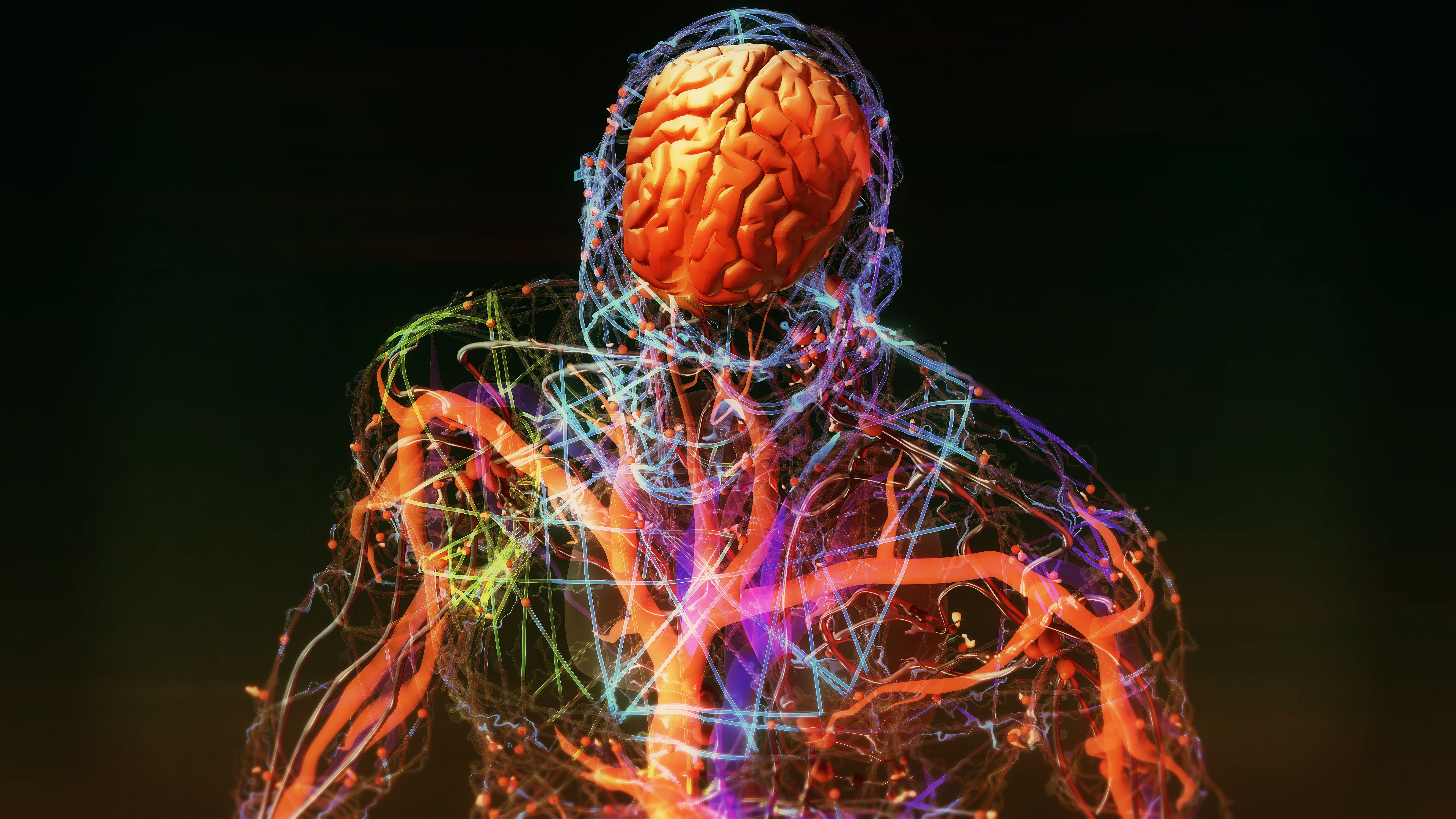 Human brain nervous system Human brain nervous system