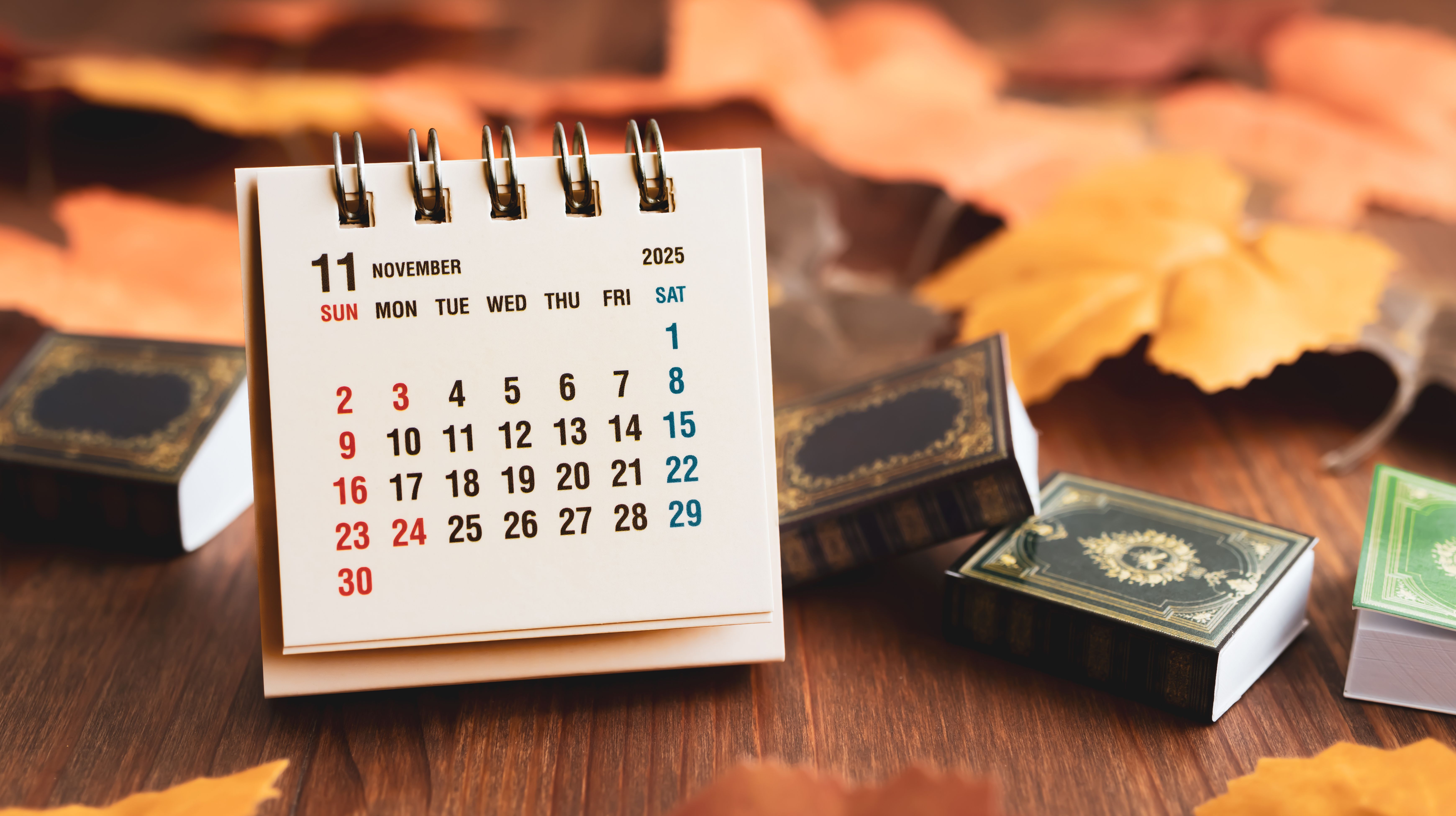 Japanese calendar for November 2025. Desk calendar on autumn background.