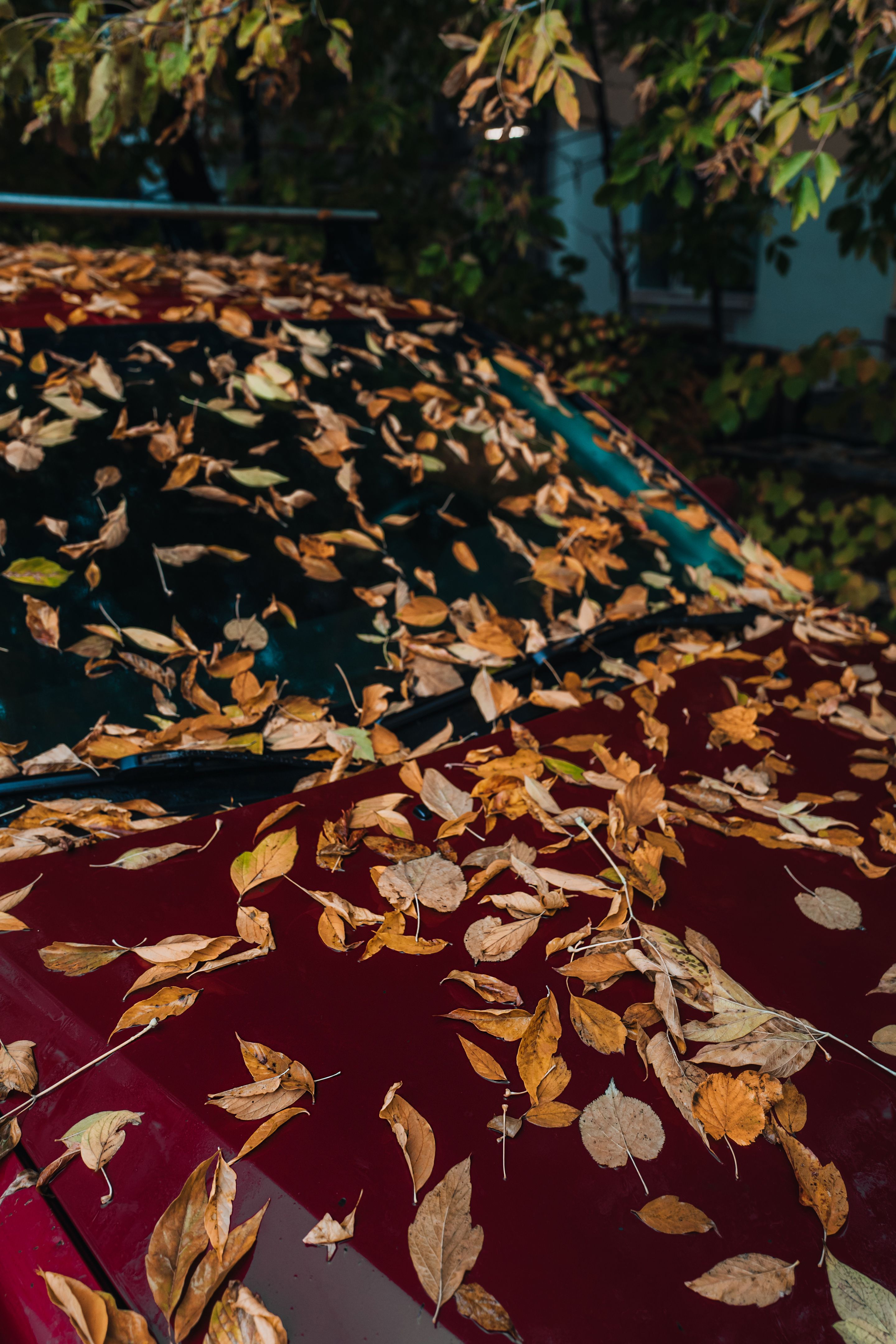 classic car transformation