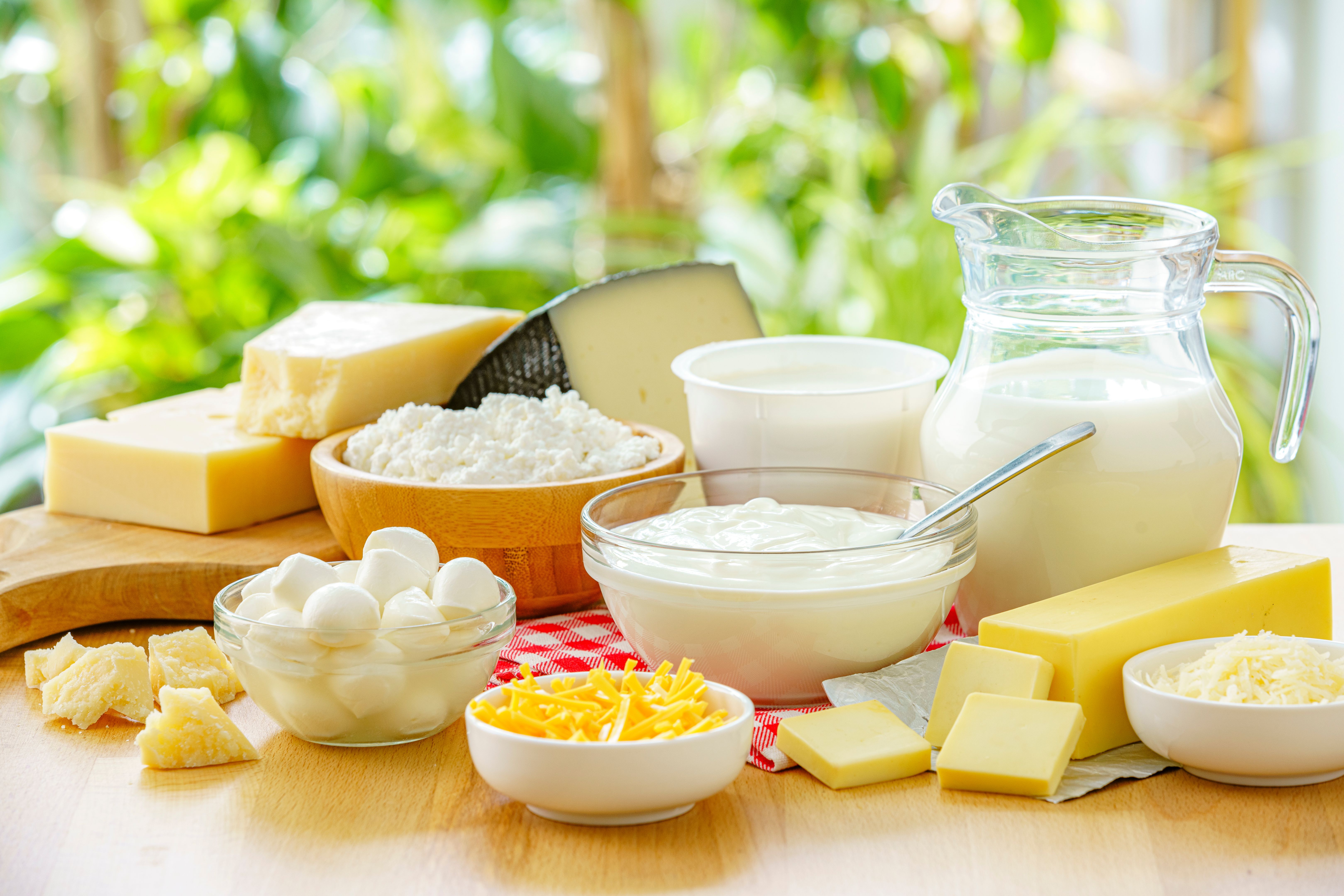 dairy products