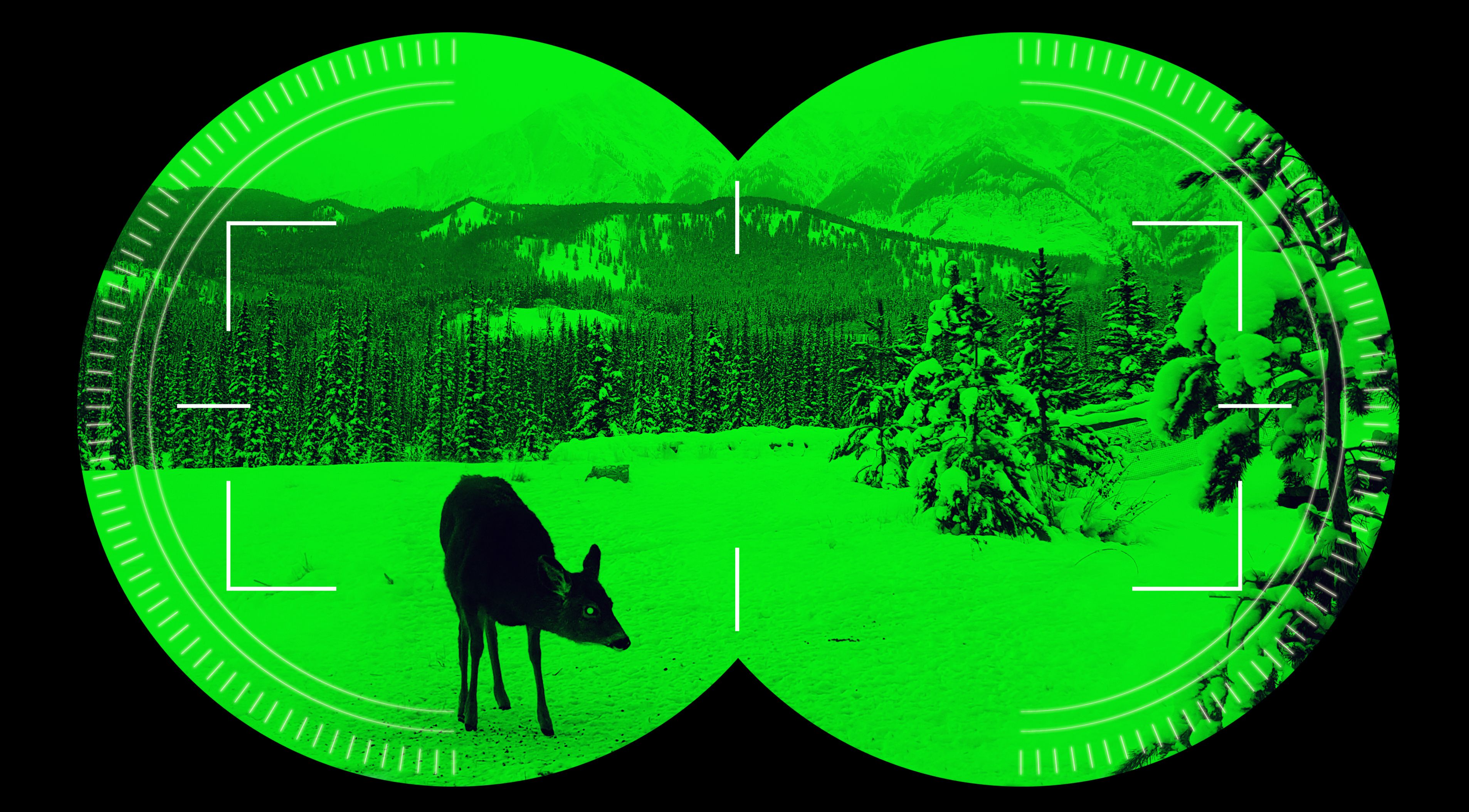 night vision thermal