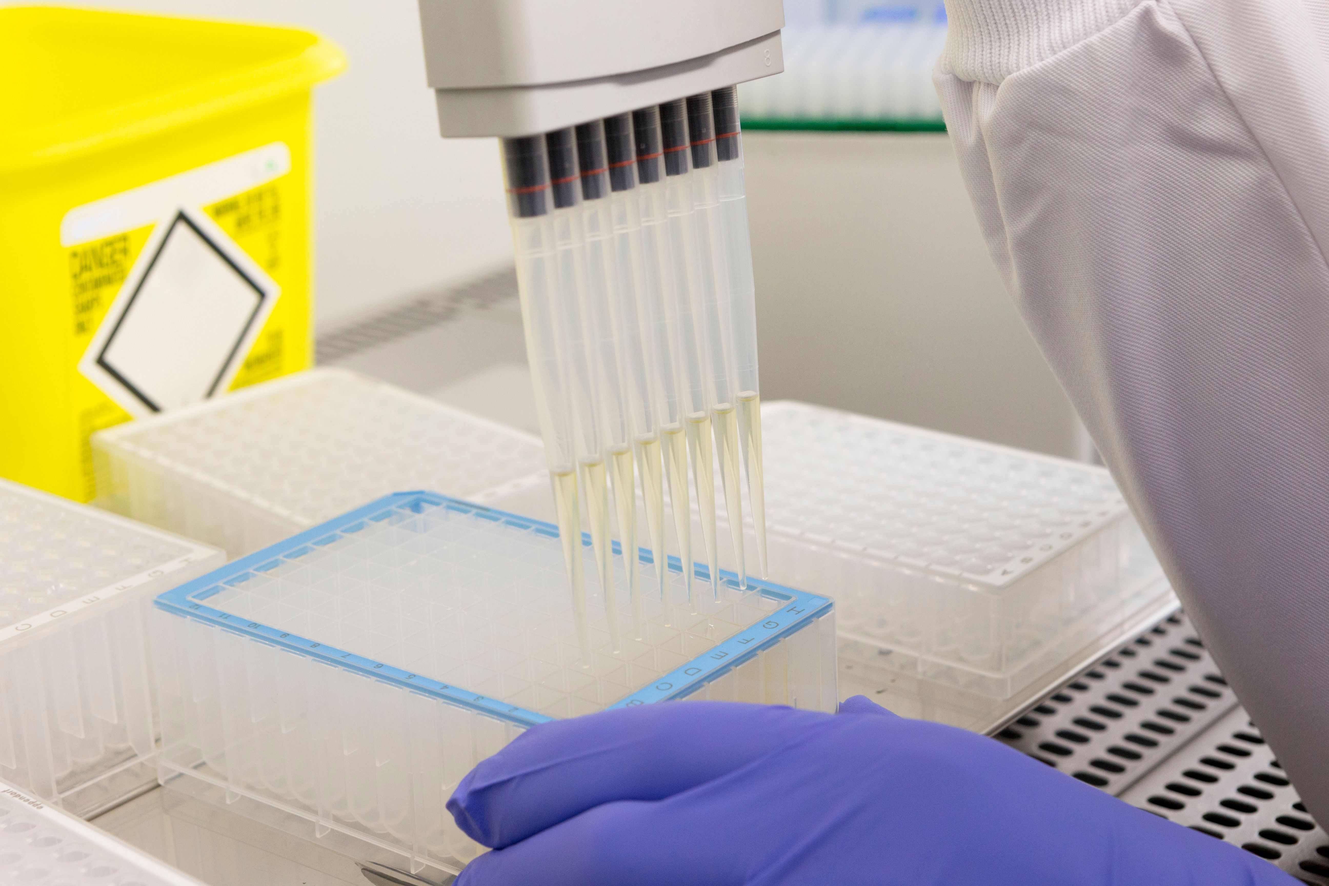 drug test preparation