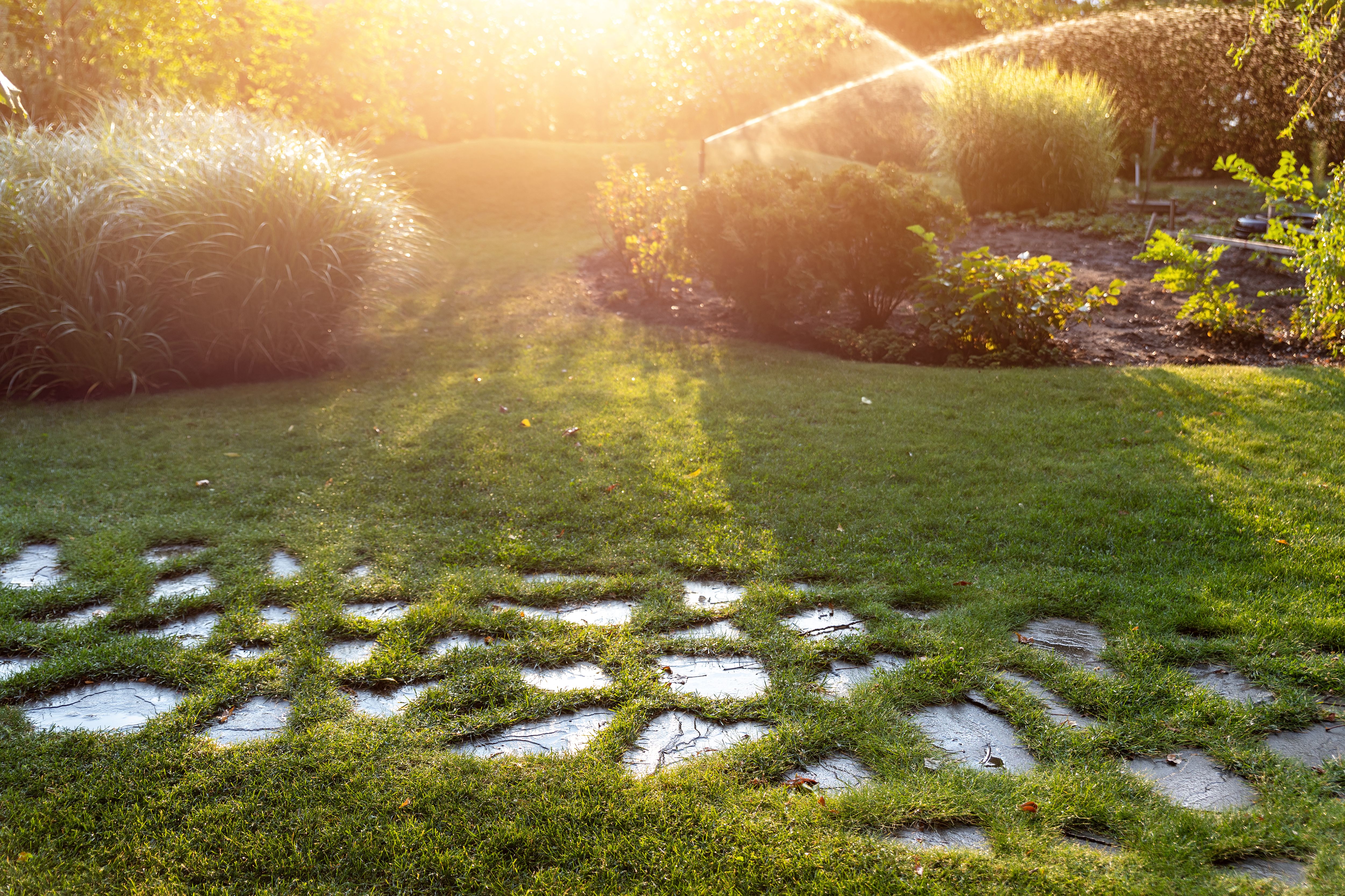 smart irrigation